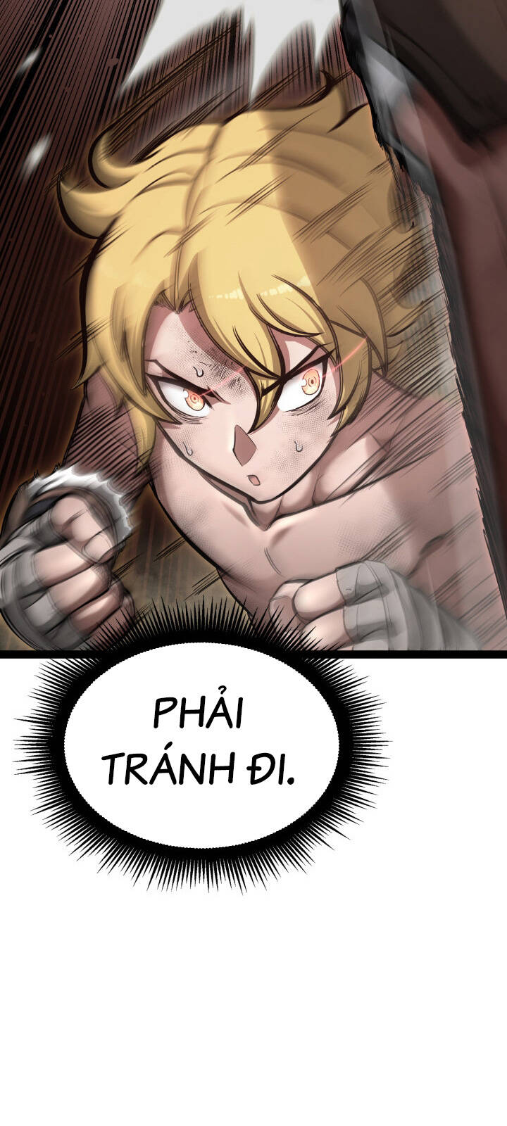 Võ Sĩ Quyền Anh Carly: Chapter 4