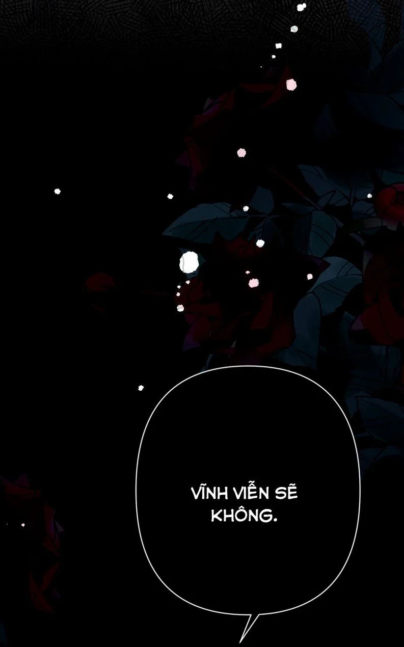 Tảo Ngộ Lan Nhân: Chapter 2