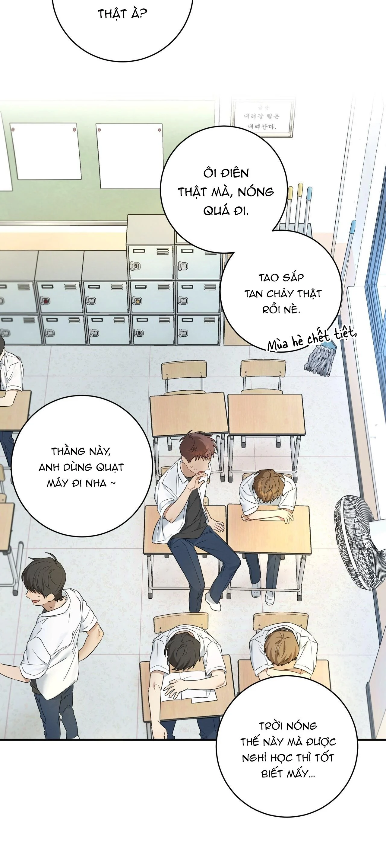Tình Yêu Mận Ngọt: Chapter 1