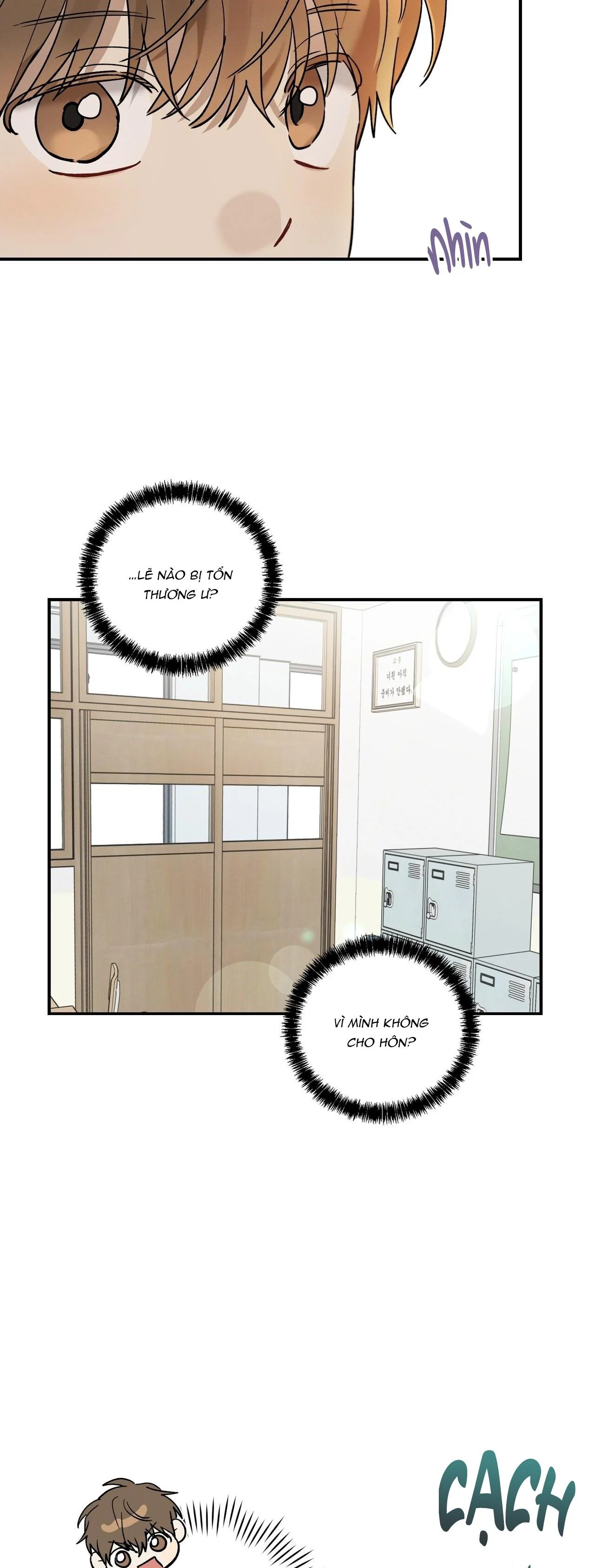 Tình Yêu Mận Ngọt: Chapter 11