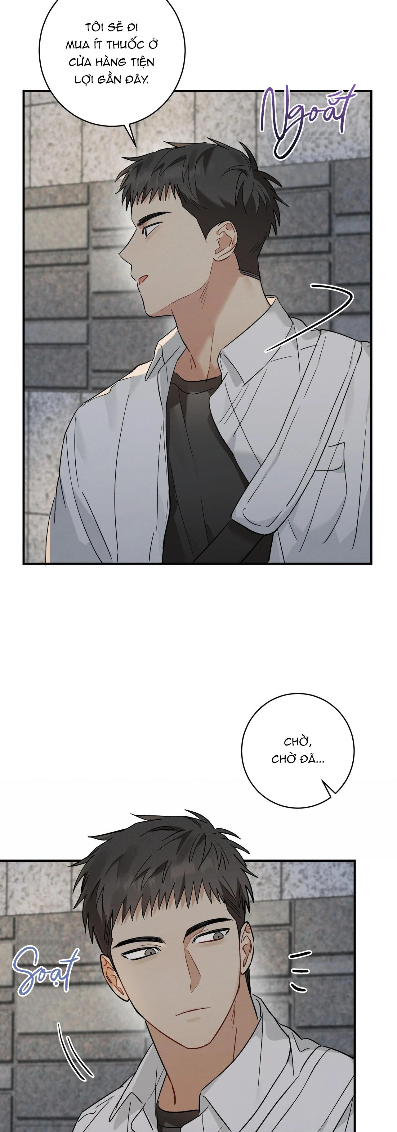 Tình Yêu Mận Ngọt: Chapter 11
