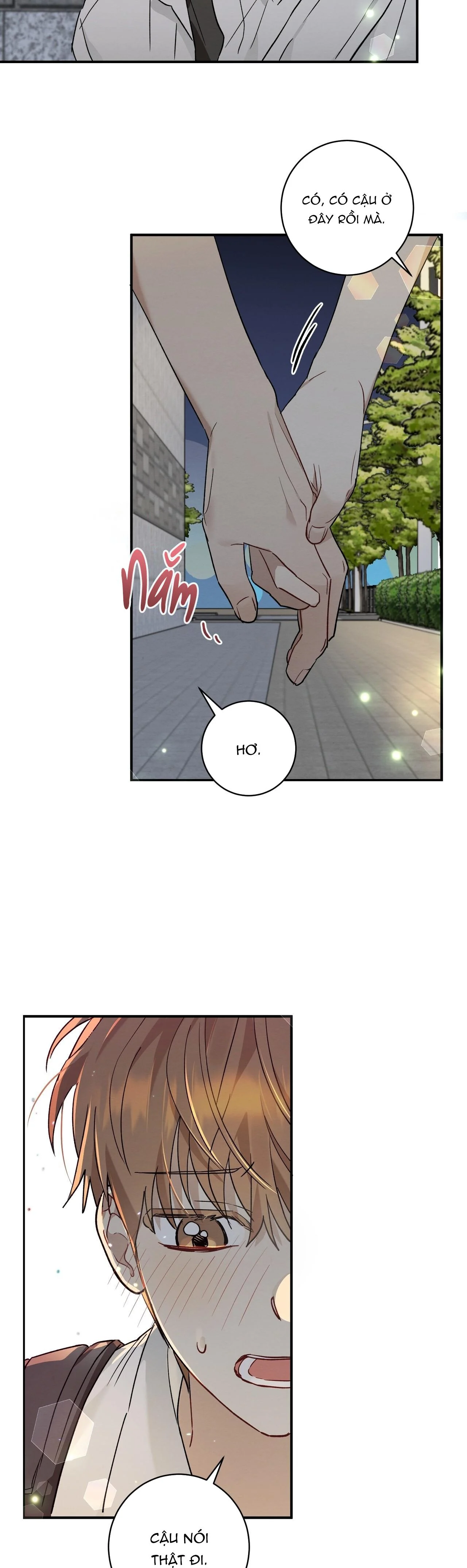 Tình Yêu Mận Ngọt: Chapter 11