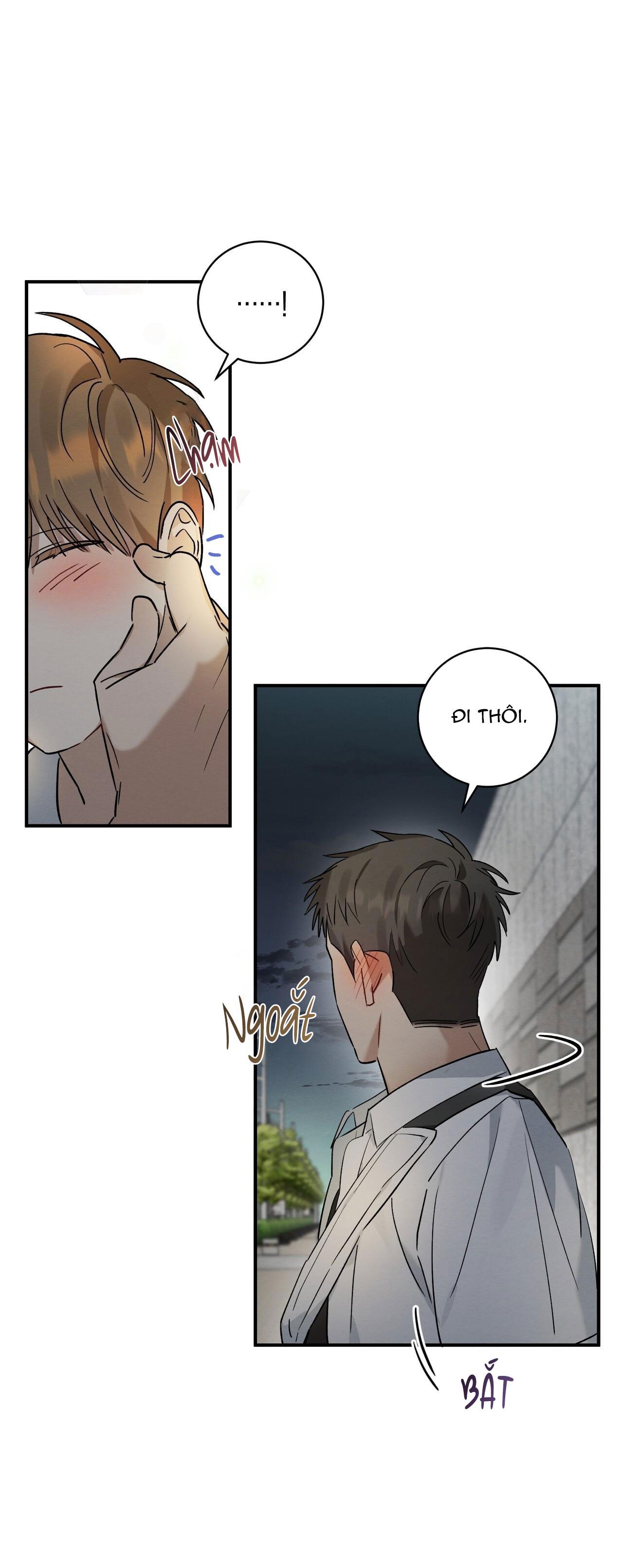 Tình Yêu Mận Ngọt: Chapter 12