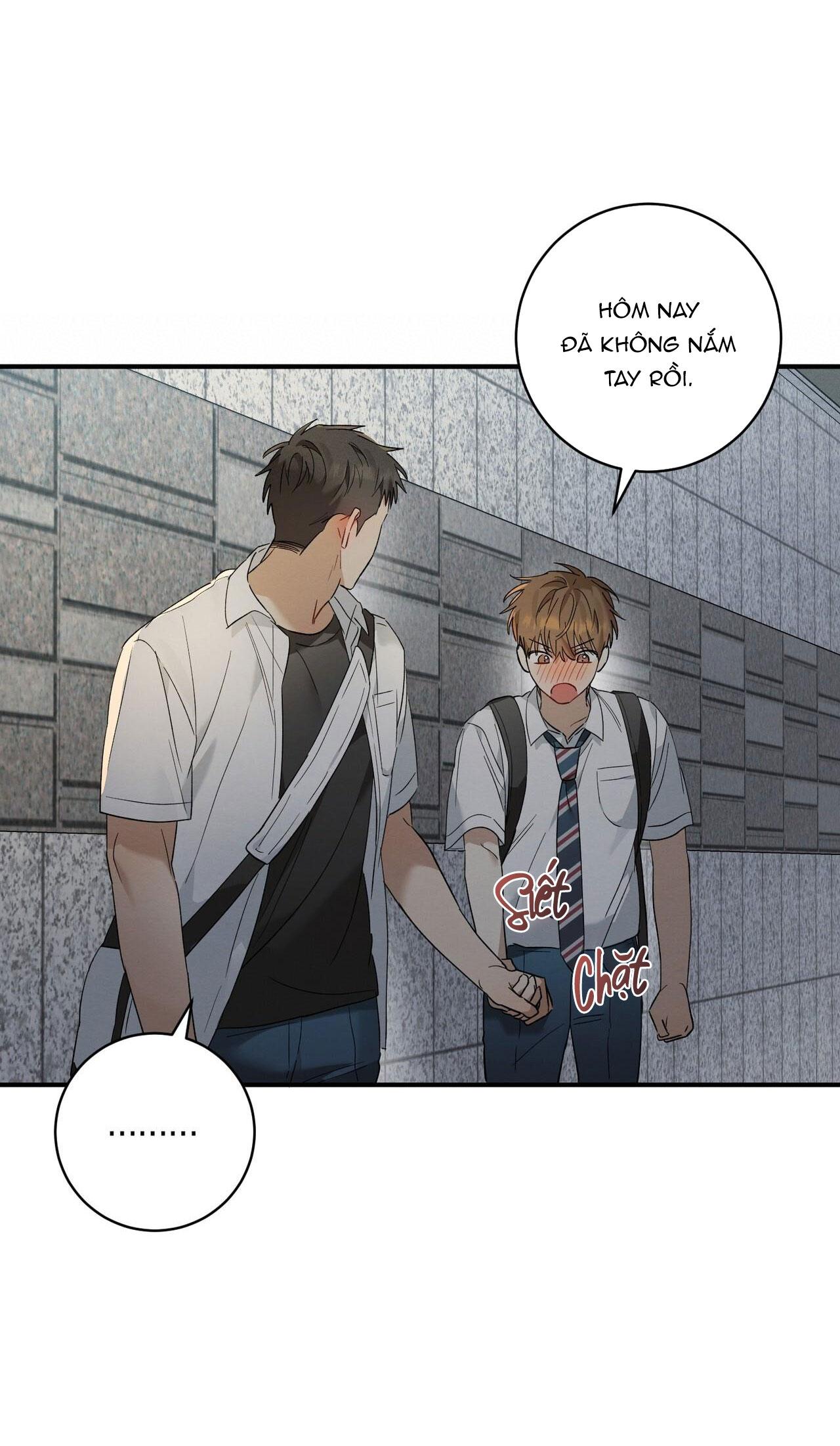 Tình Yêu Mận Ngọt: Chapter 12