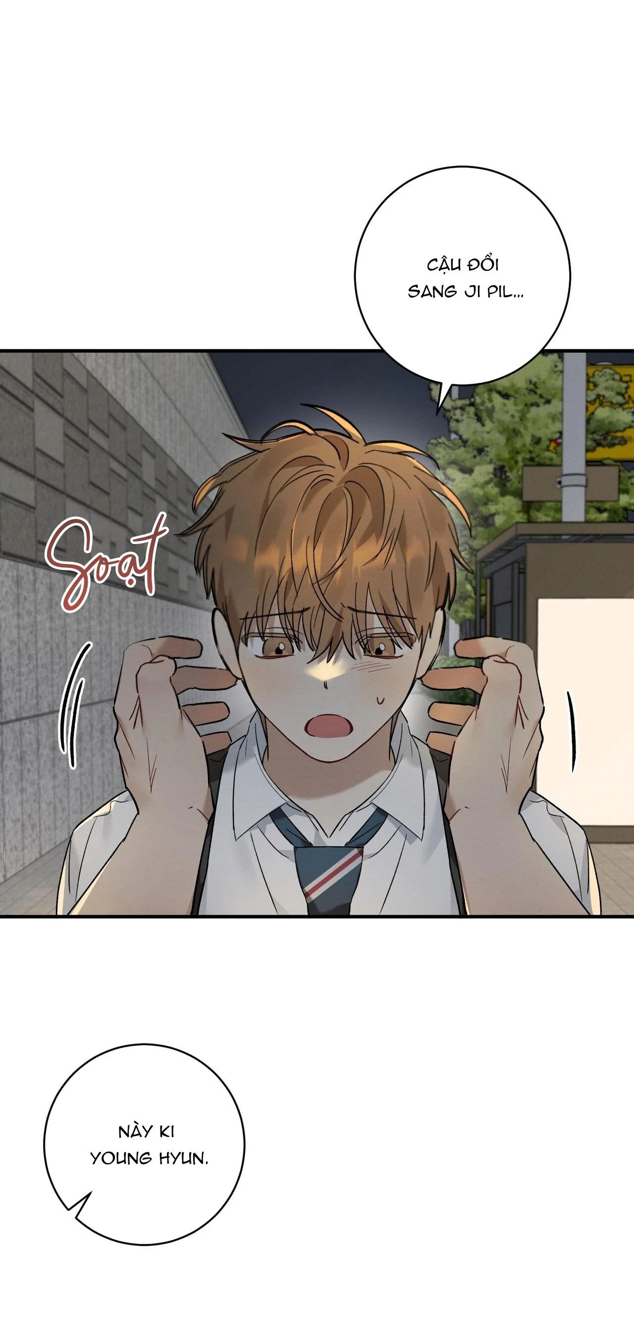 Tình Yêu Mận Ngọt: Chapter 12