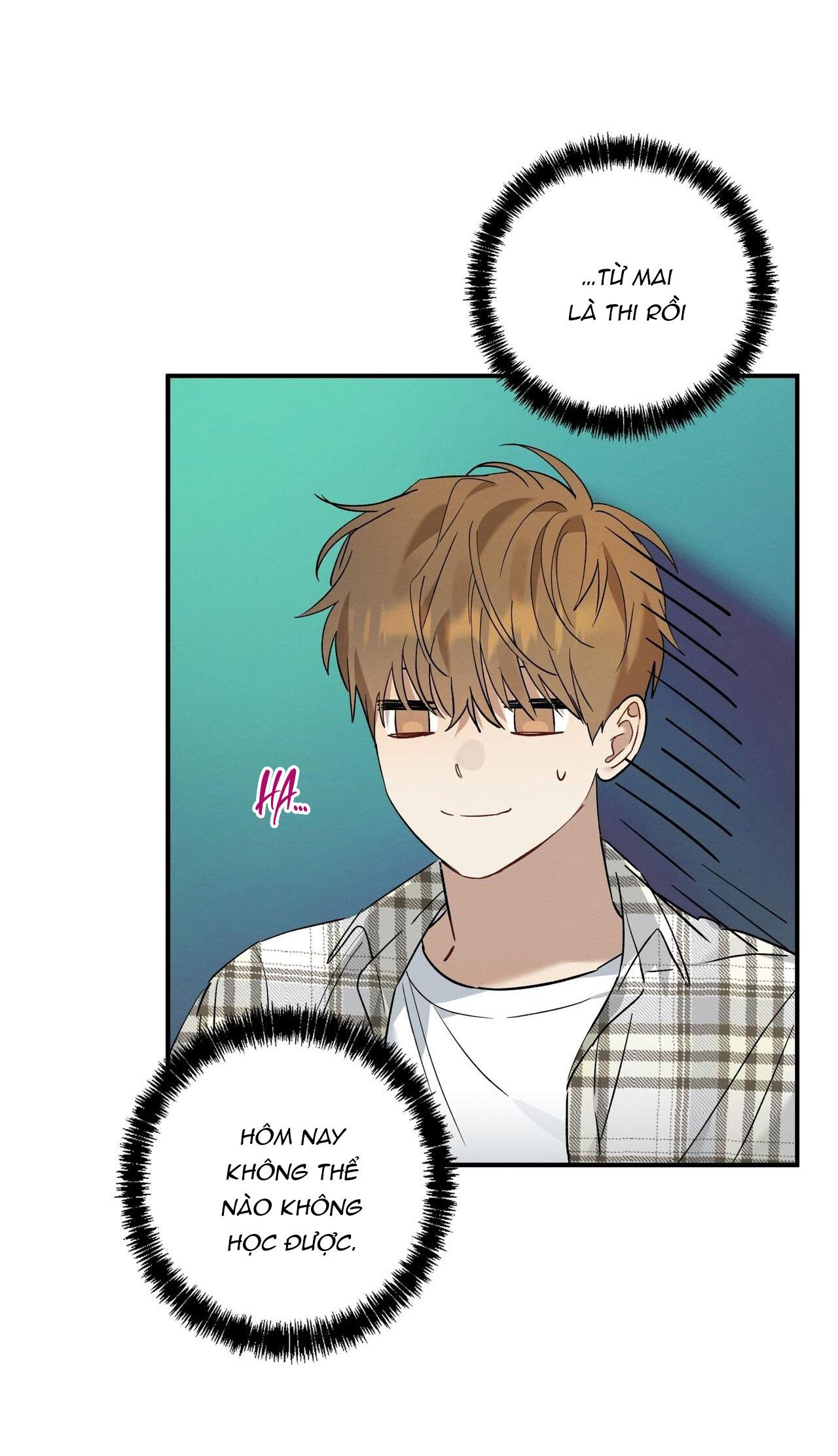 Tình Yêu Mận Ngọt: Chapter 12