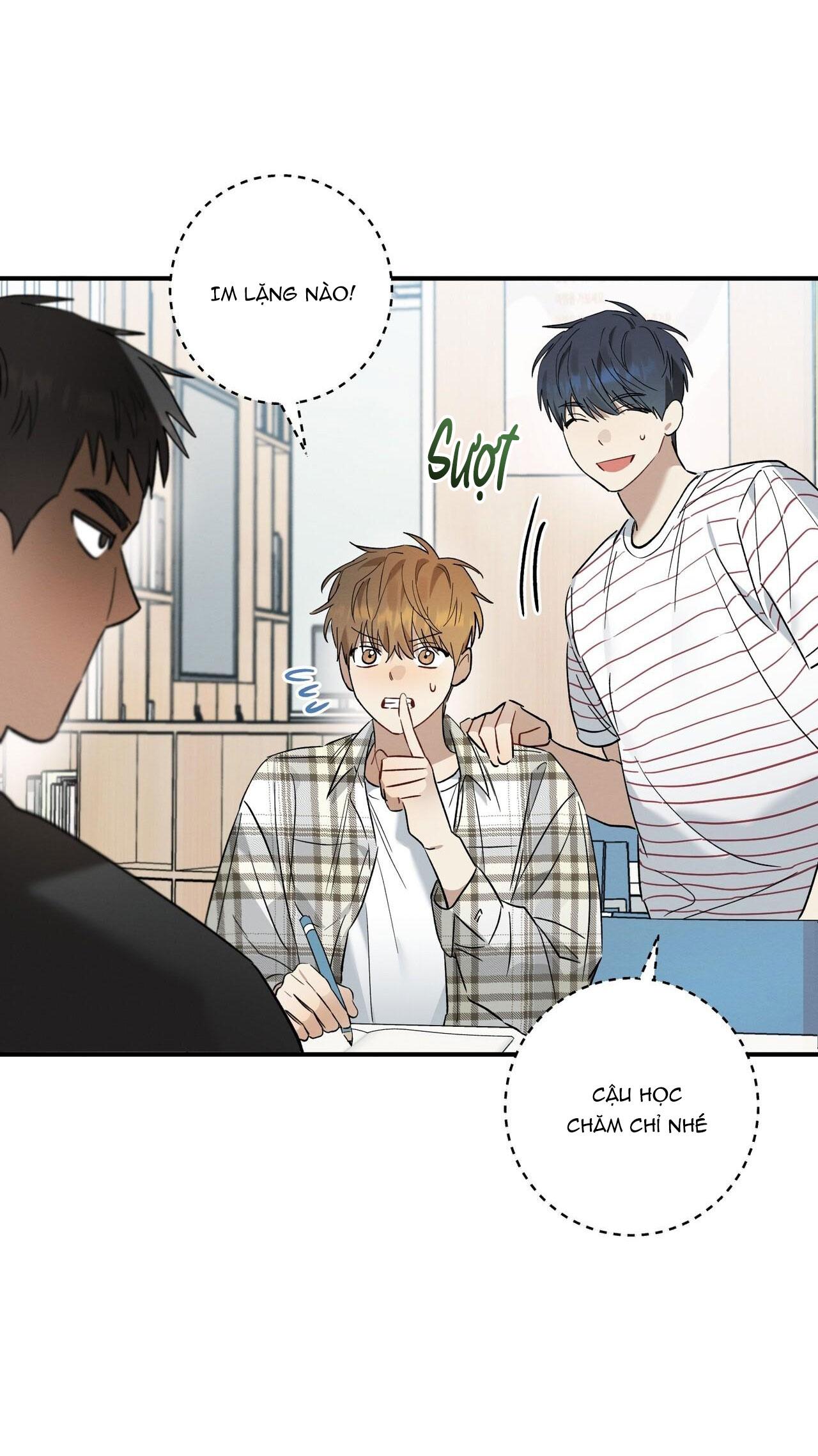 Tình Yêu Mận Ngọt: Chapter 12