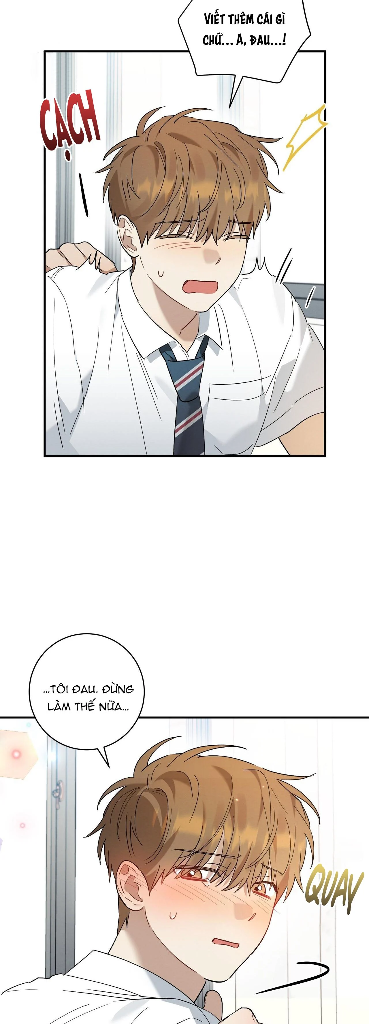 Tình Yêu Mận Ngọt: Chapter 14