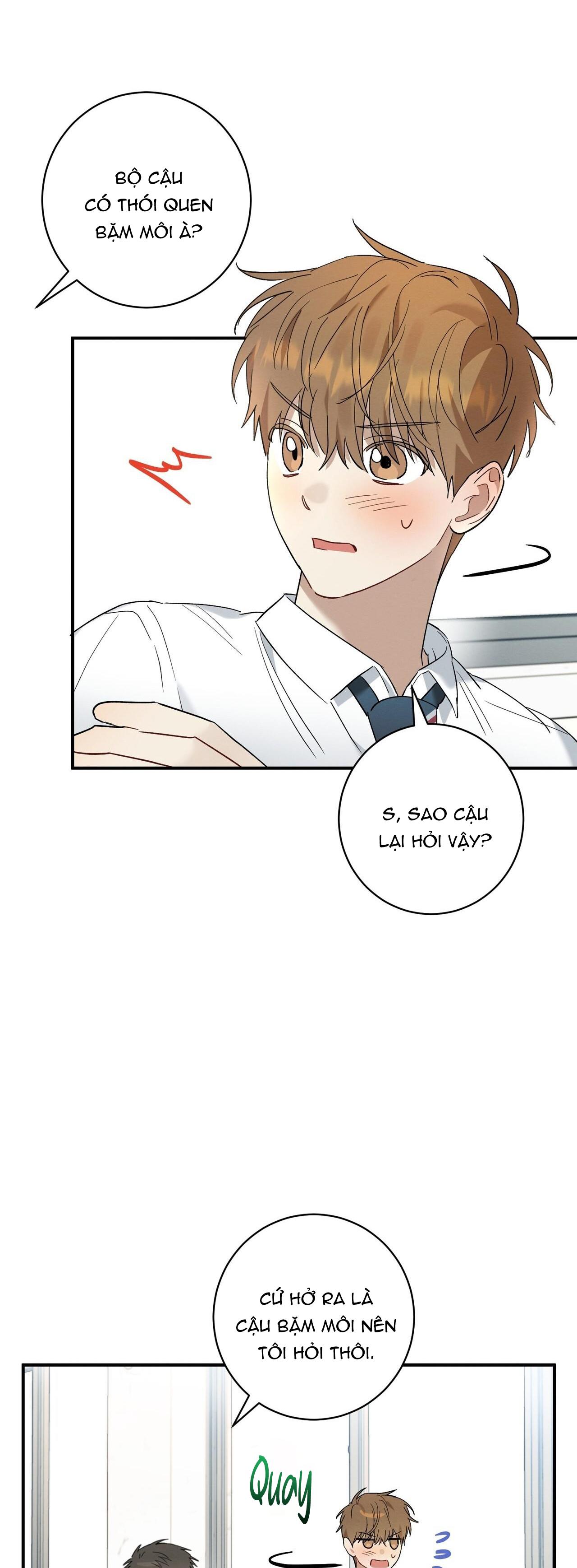 Tình Yêu Mận Ngọt: Chapter 14