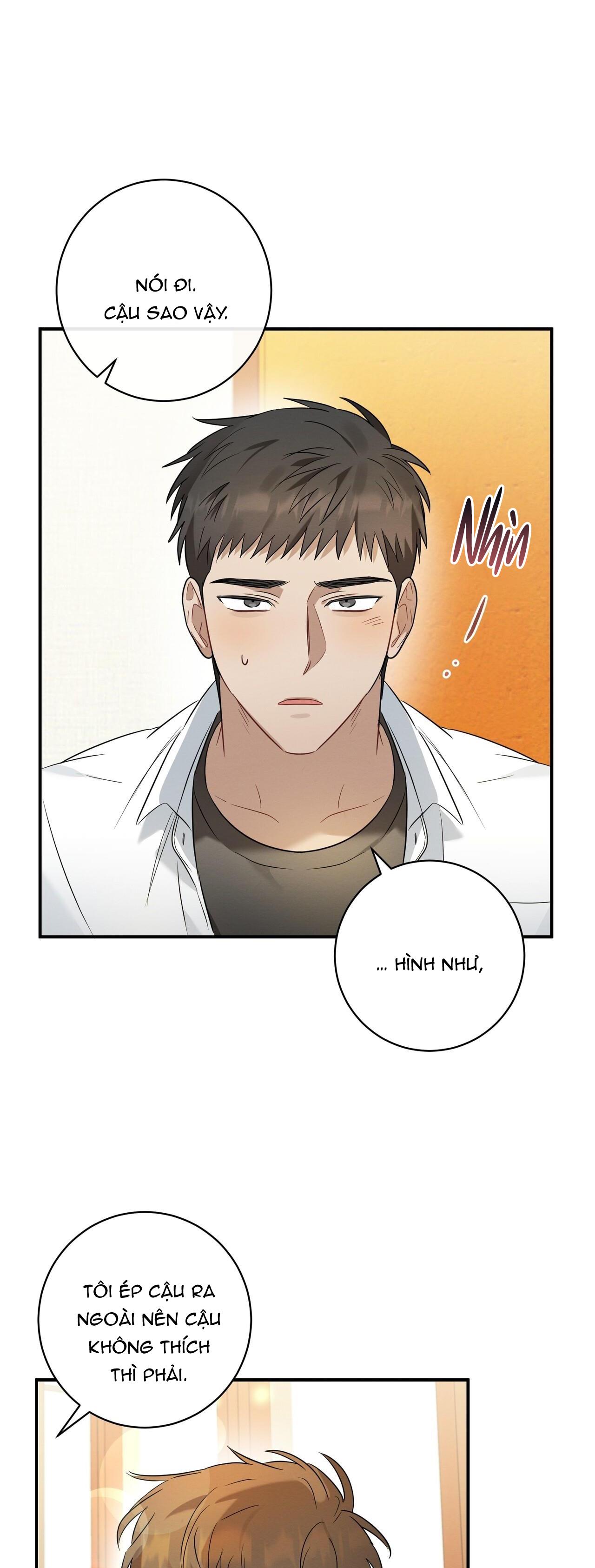 Tình Yêu Mận Ngọt: Chapter 15