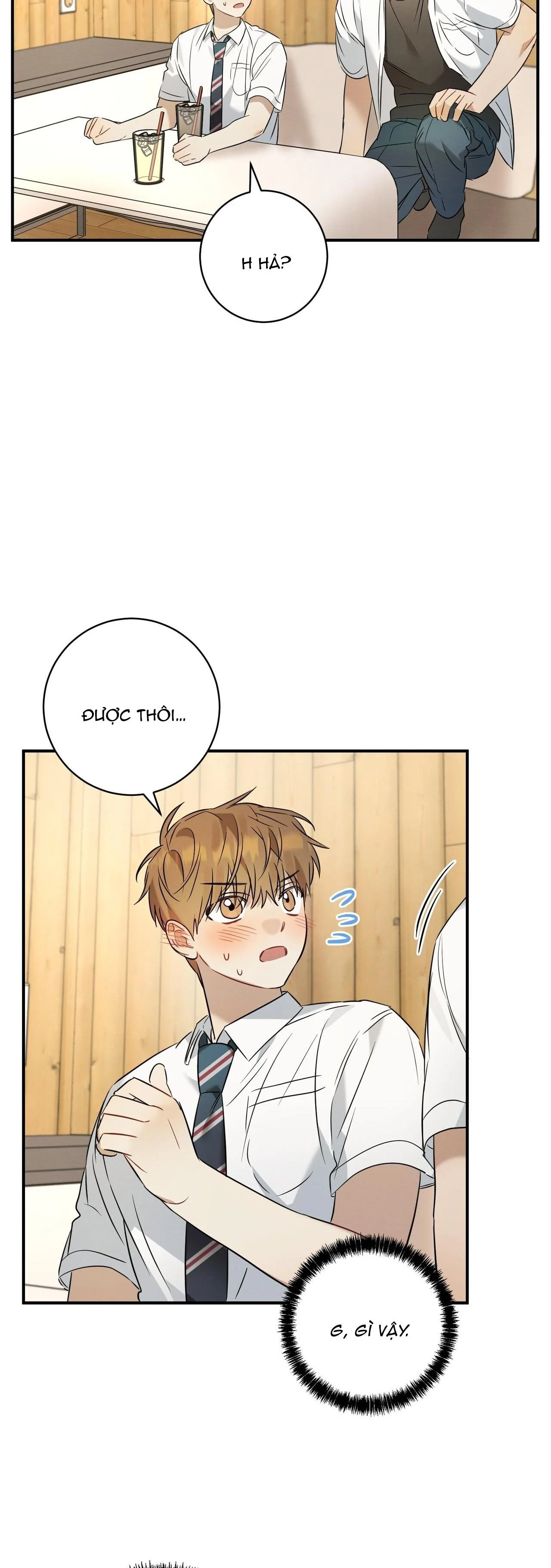 Tình Yêu Mận Ngọt: Chapter 16