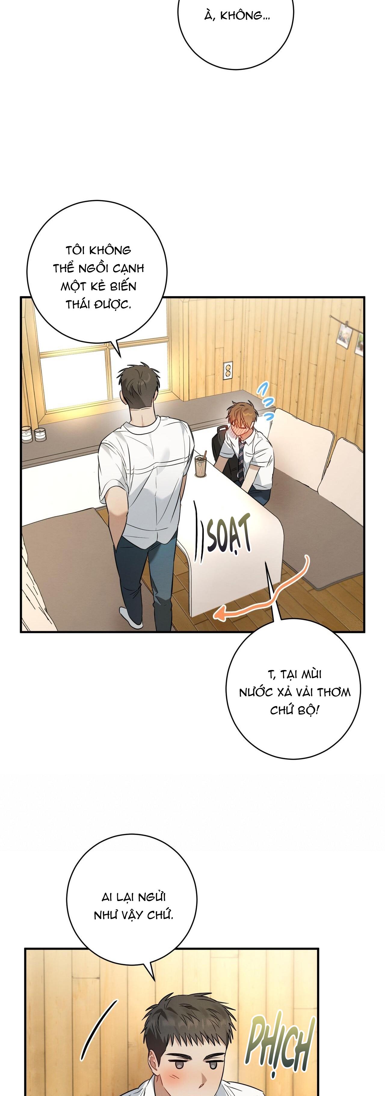Tình Yêu Mận Ngọt: Chapter 16