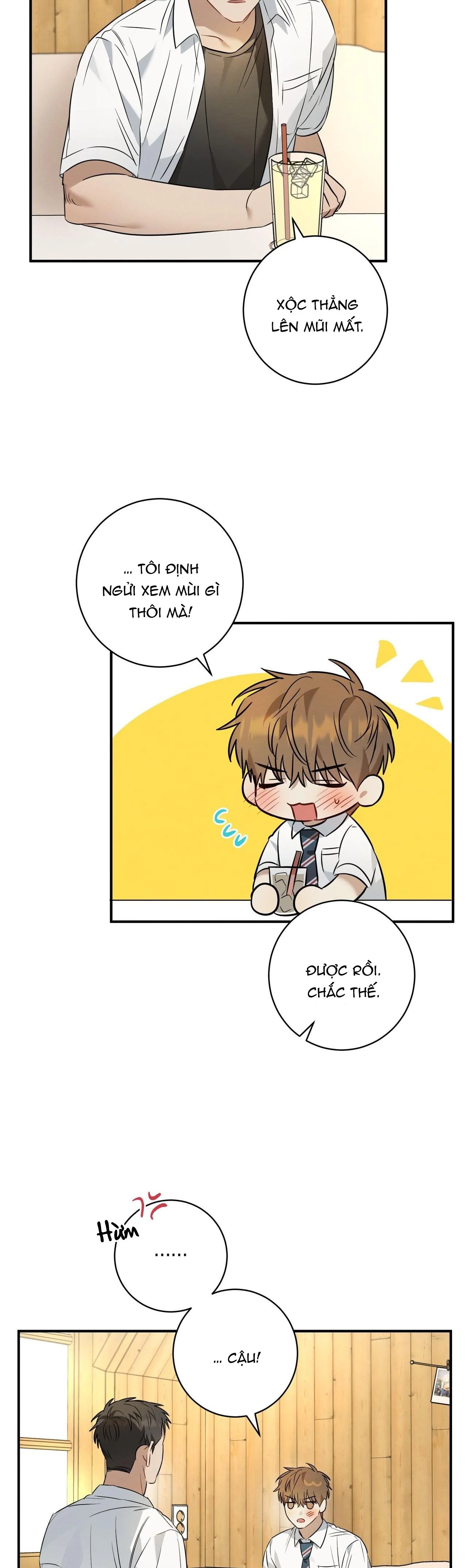 Tình Yêu Mận Ngọt: Chapter 16