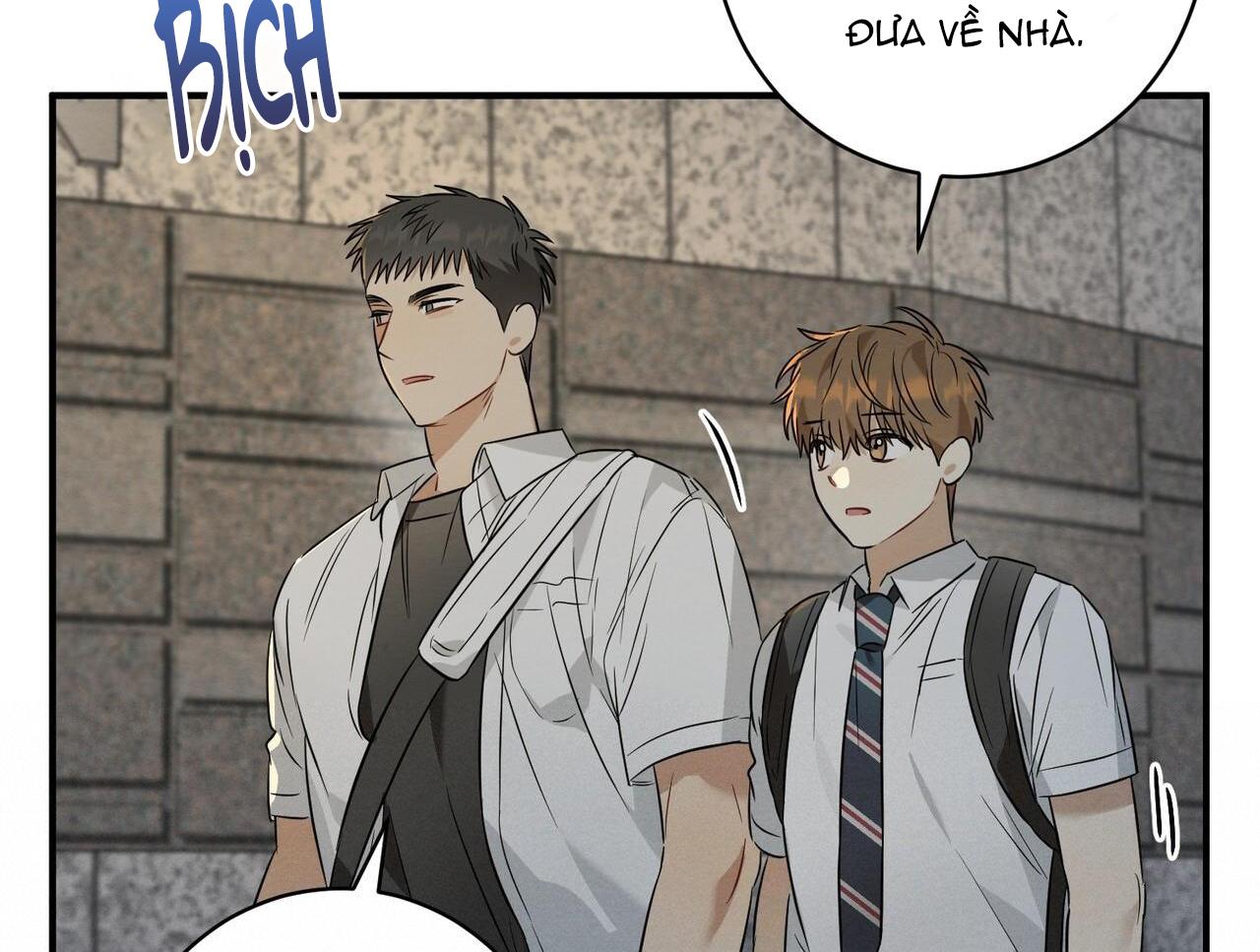 Tình Yêu Mận Ngọt: Chapter 16