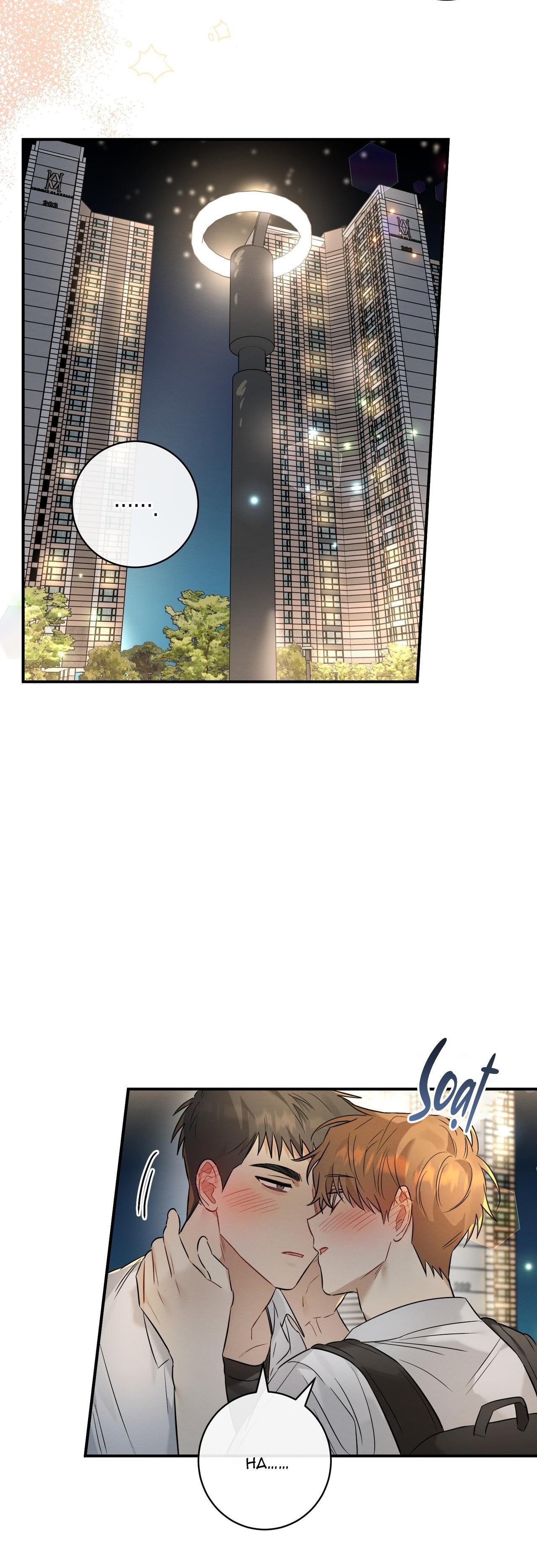 Tình Yêu Mận Ngọt: Chapter 17