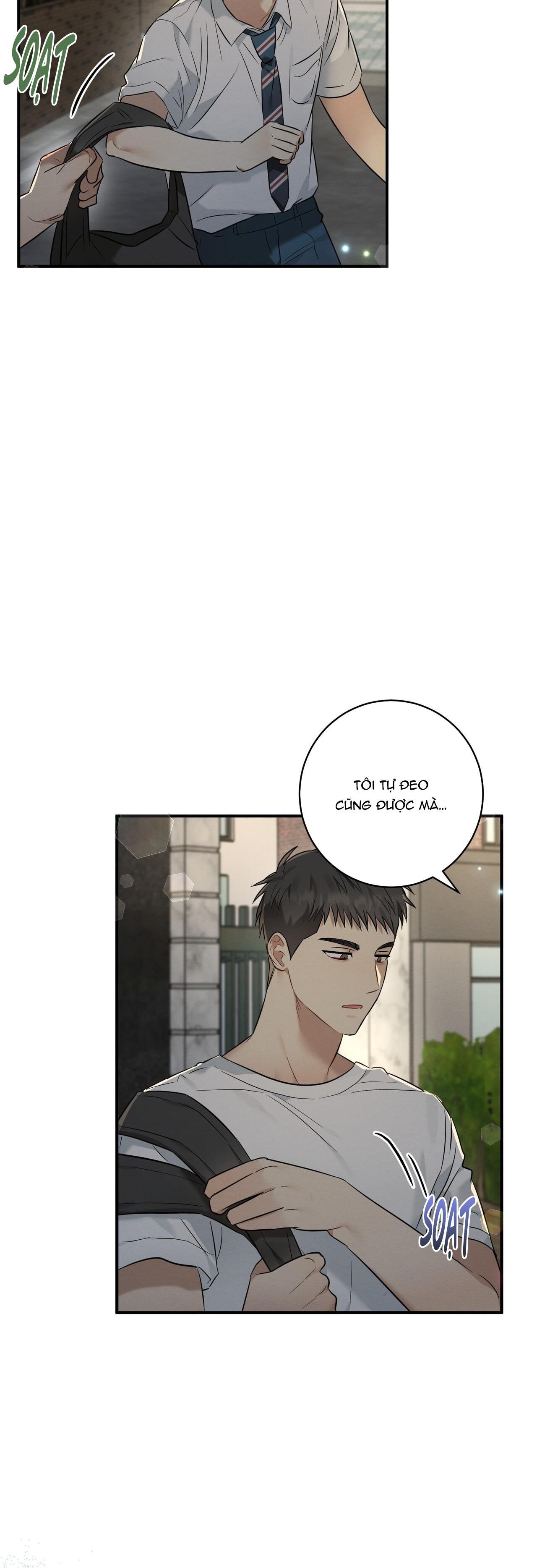 Tình Yêu Mận Ngọt: Chapter 18
