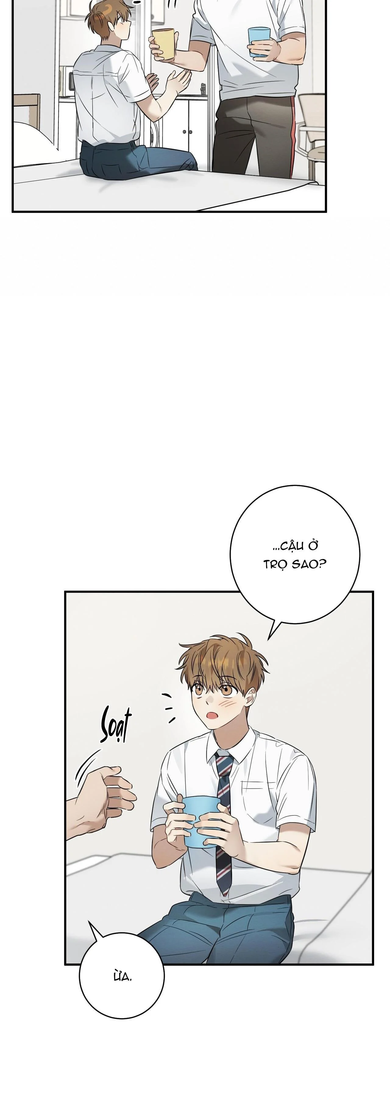 Tình Yêu Mận Ngọt: Chapter 18