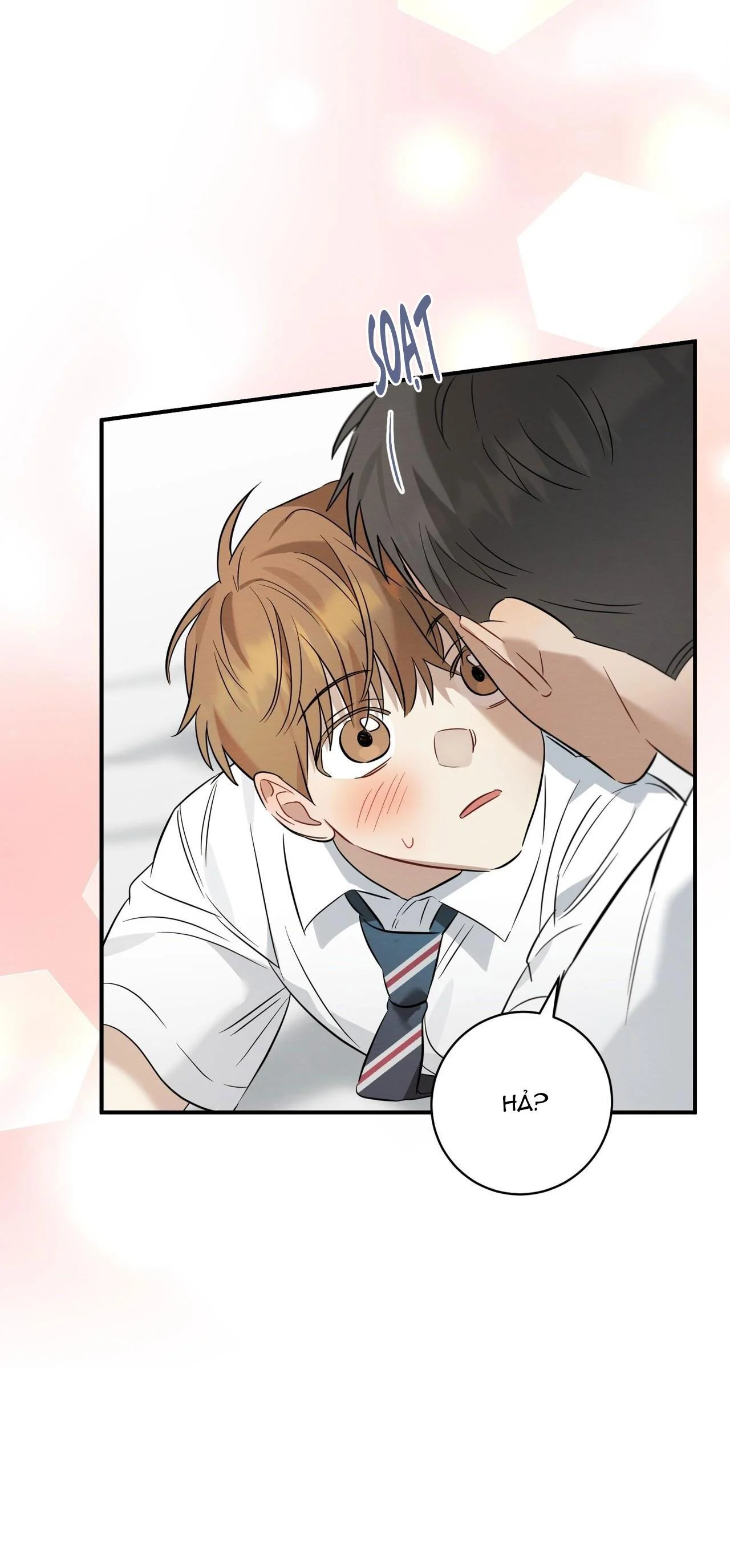 Tình Yêu Mận Ngọt: Chapter 19