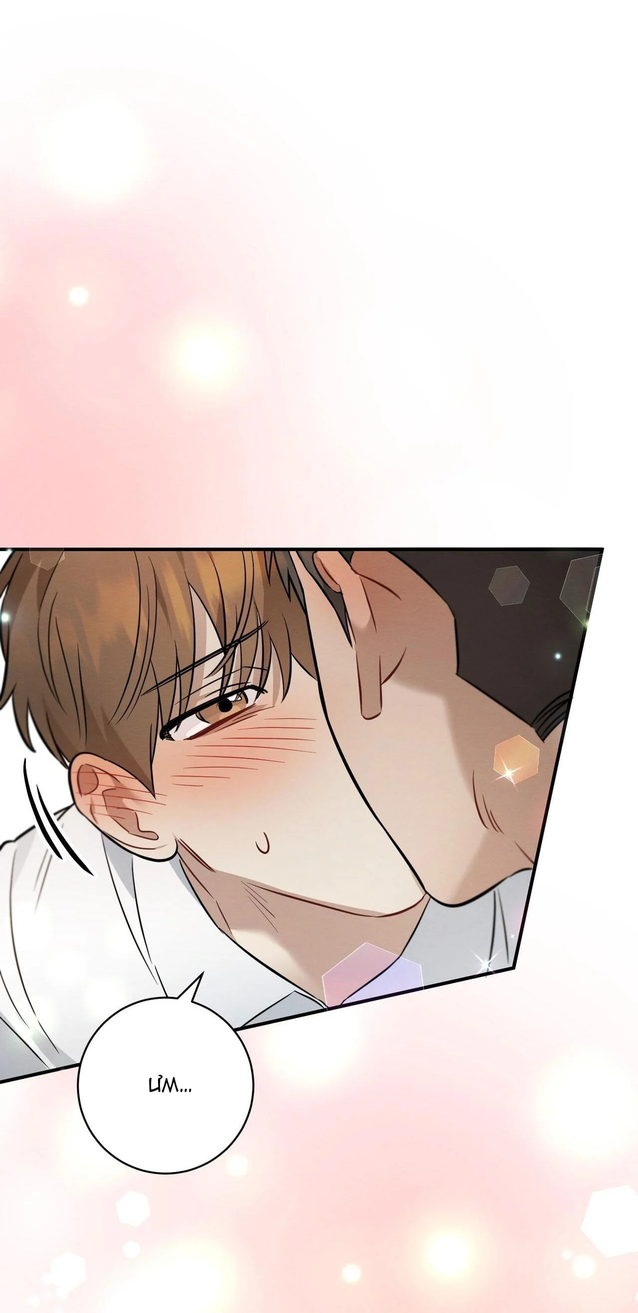 Tình Yêu Mận Ngọt: Chapter 19
