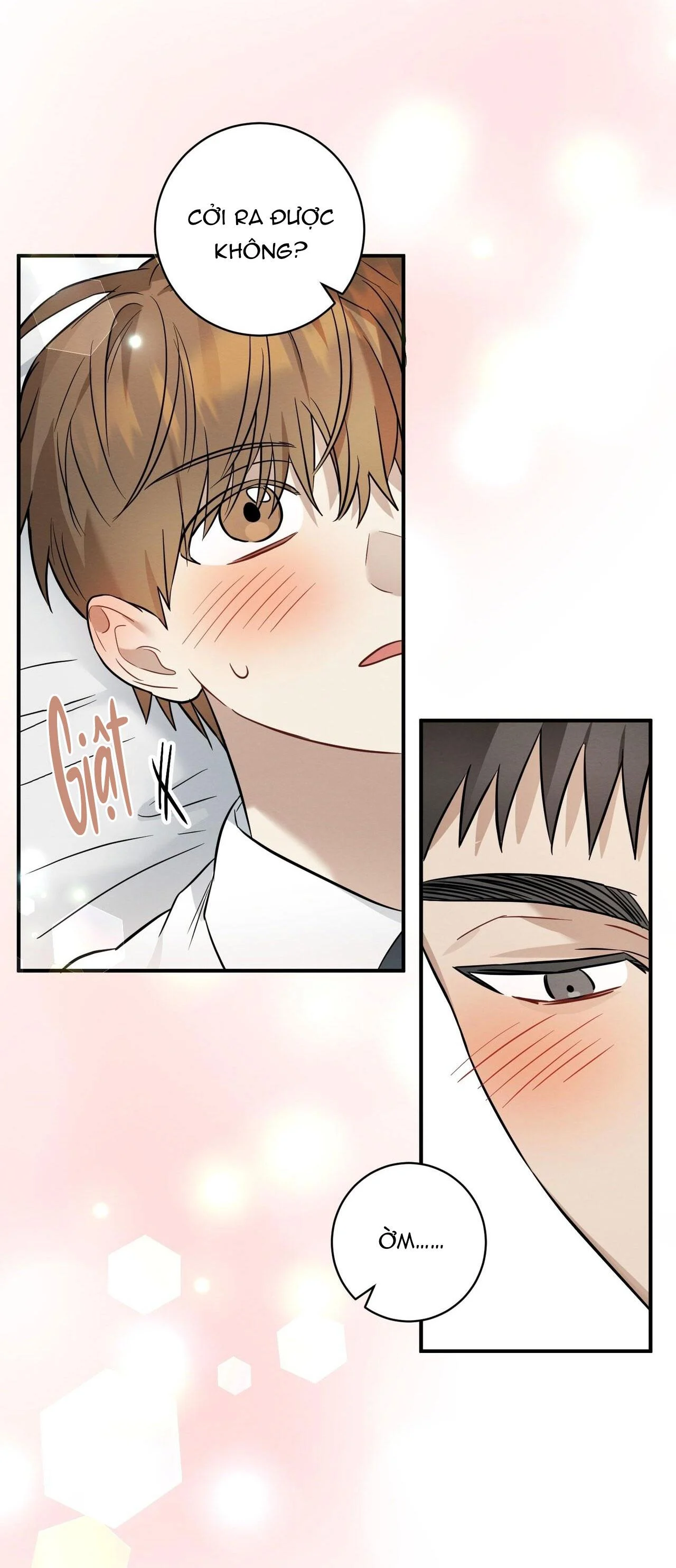 Tình Yêu Mận Ngọt: Chapter 19