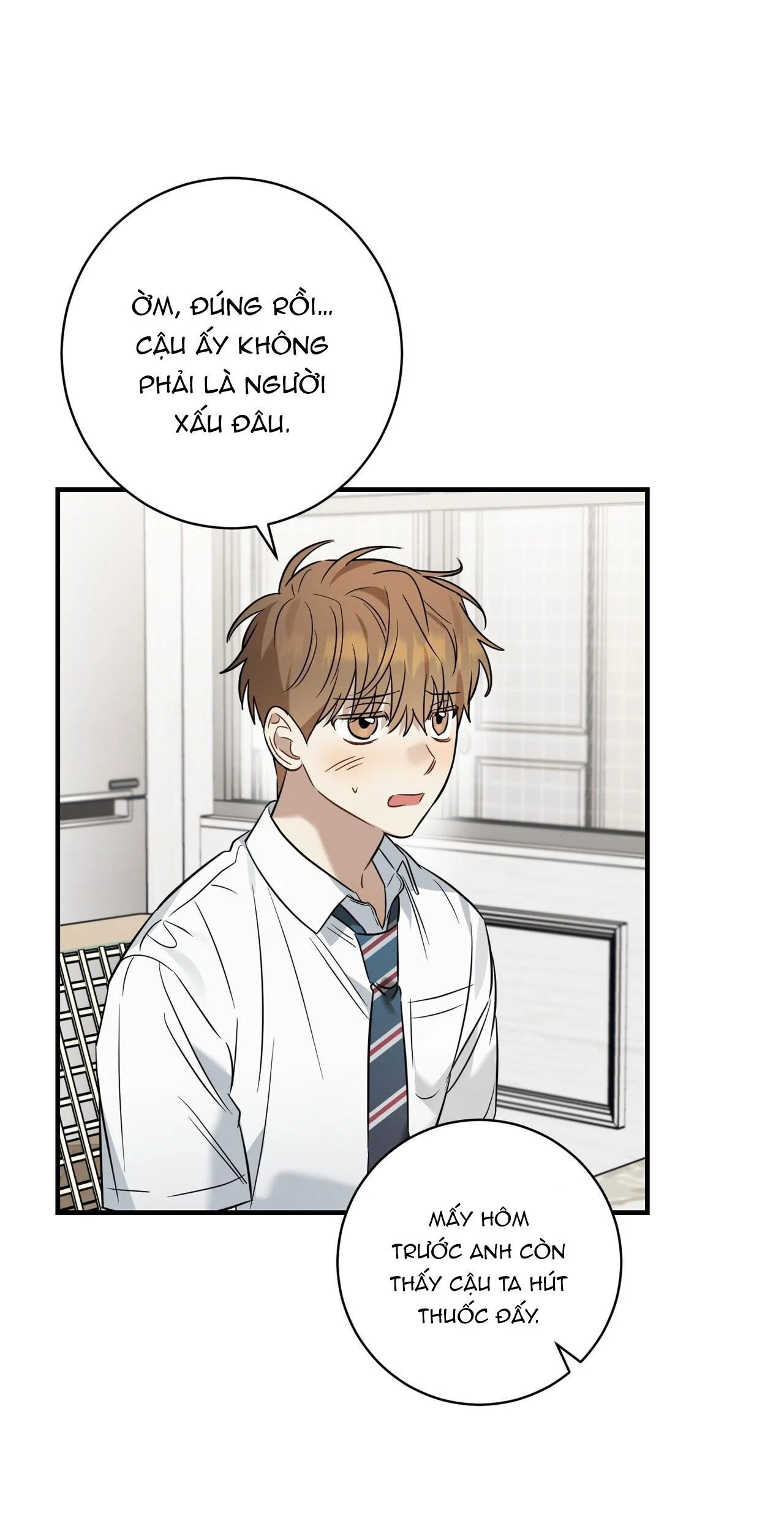 Tình Yêu Mận Ngọt: Chapter 19