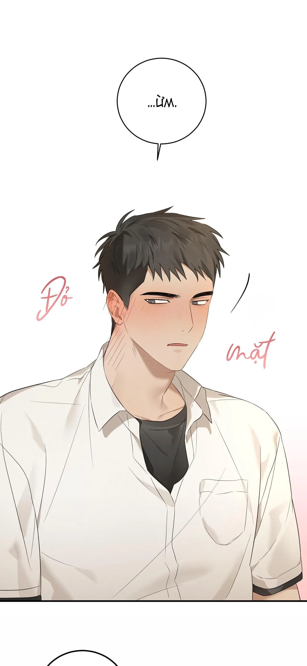 Tình Yêu Mận Ngọt: Chapter 2