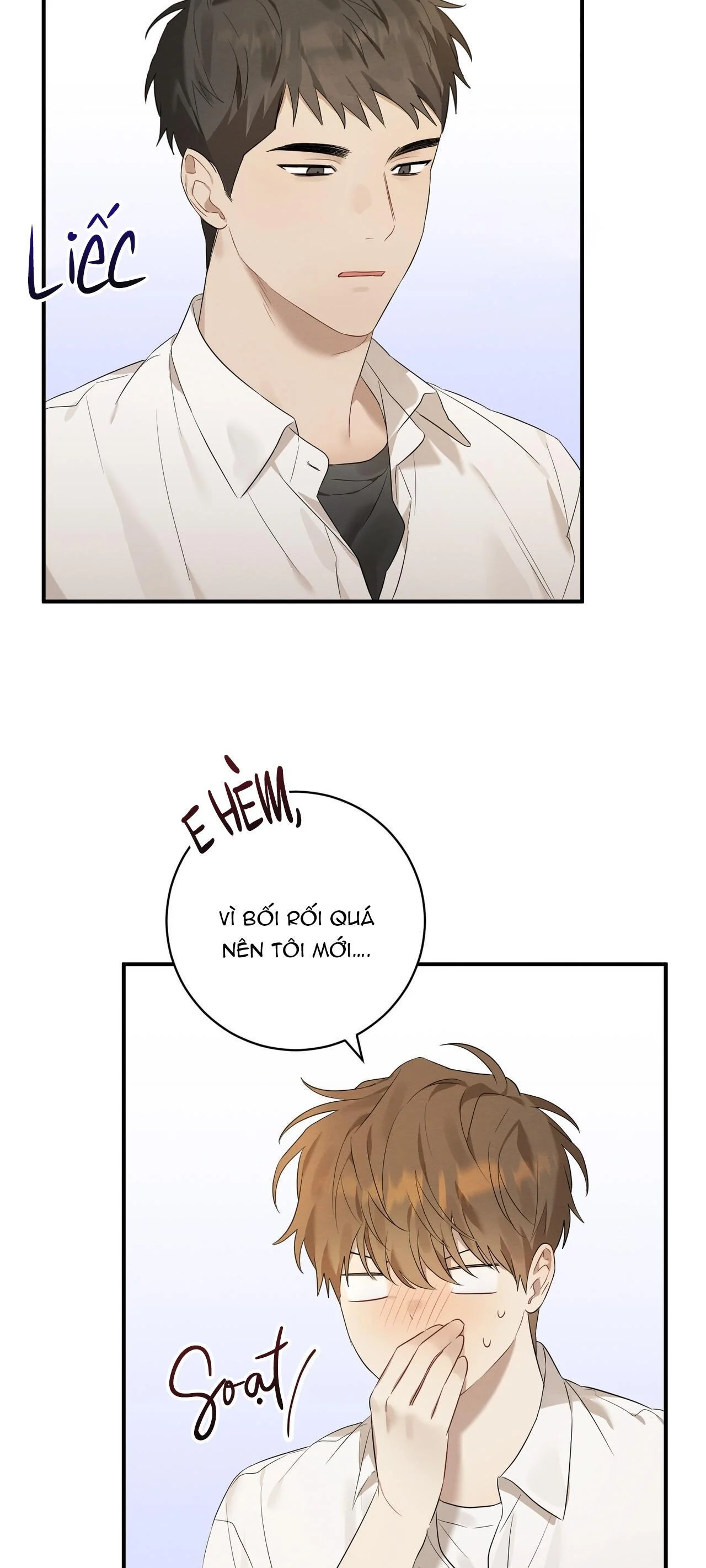 Tình Yêu Mận Ngọt: Chapter 2