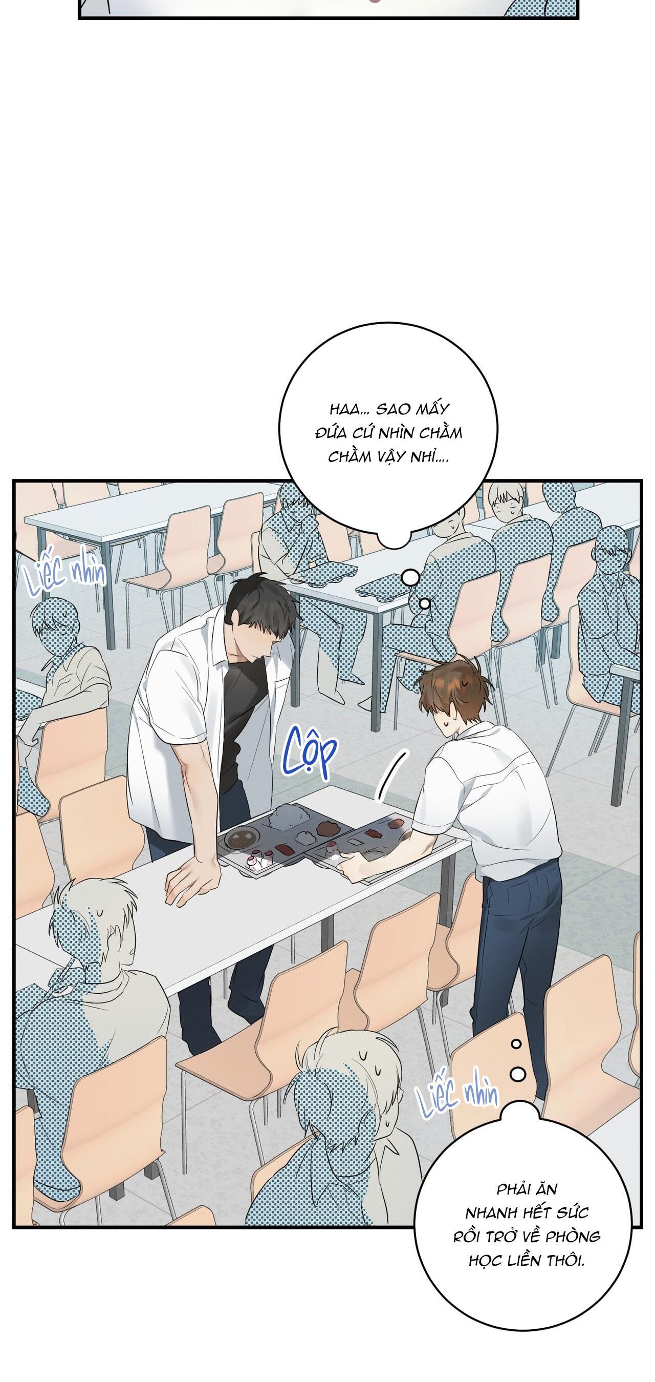 Tình Yêu Mận Ngọt: Chapter 2