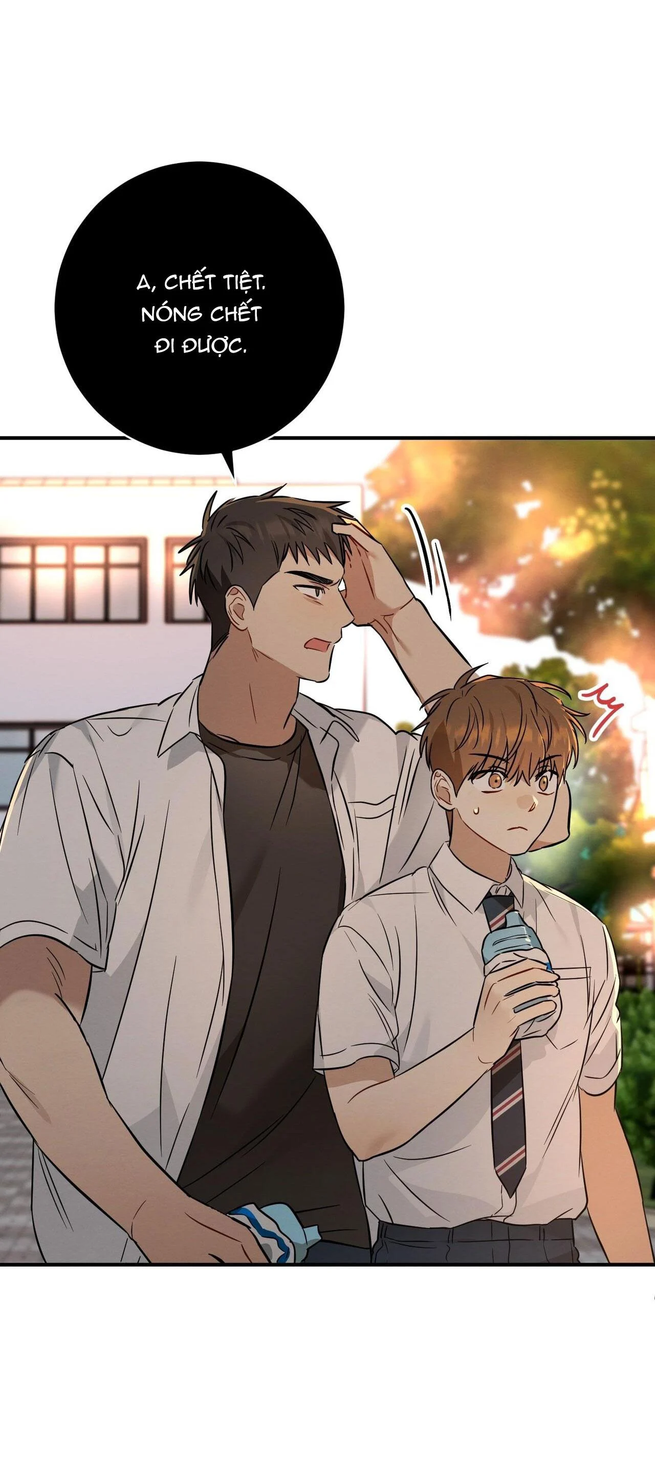 Tình Yêu Mận Ngọt: Chapter 21