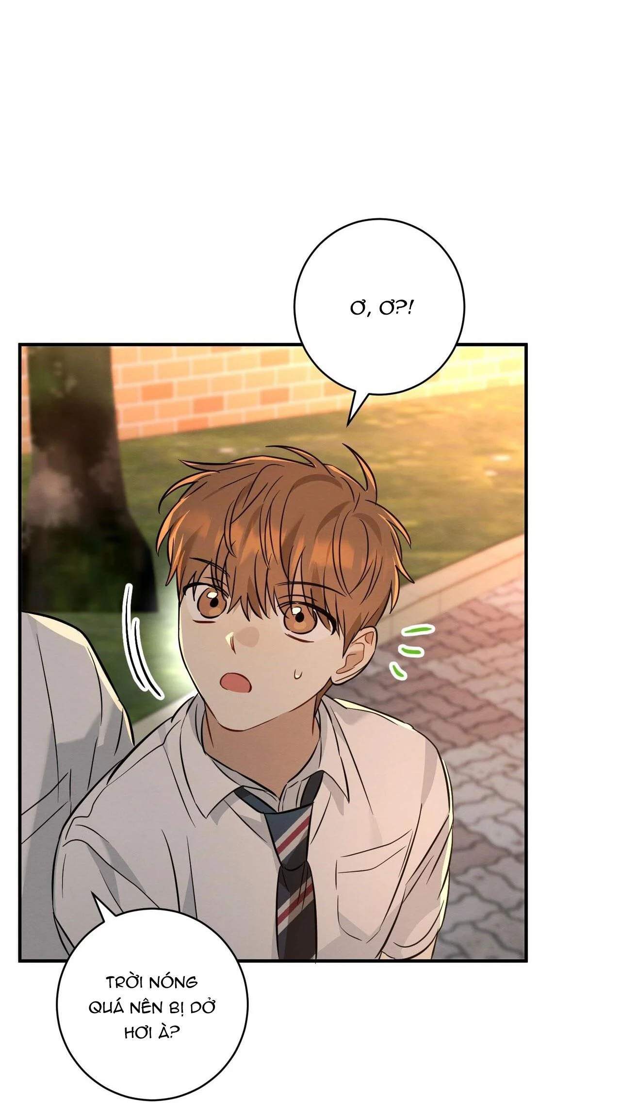 Tình Yêu Mận Ngọt: Chapter 21