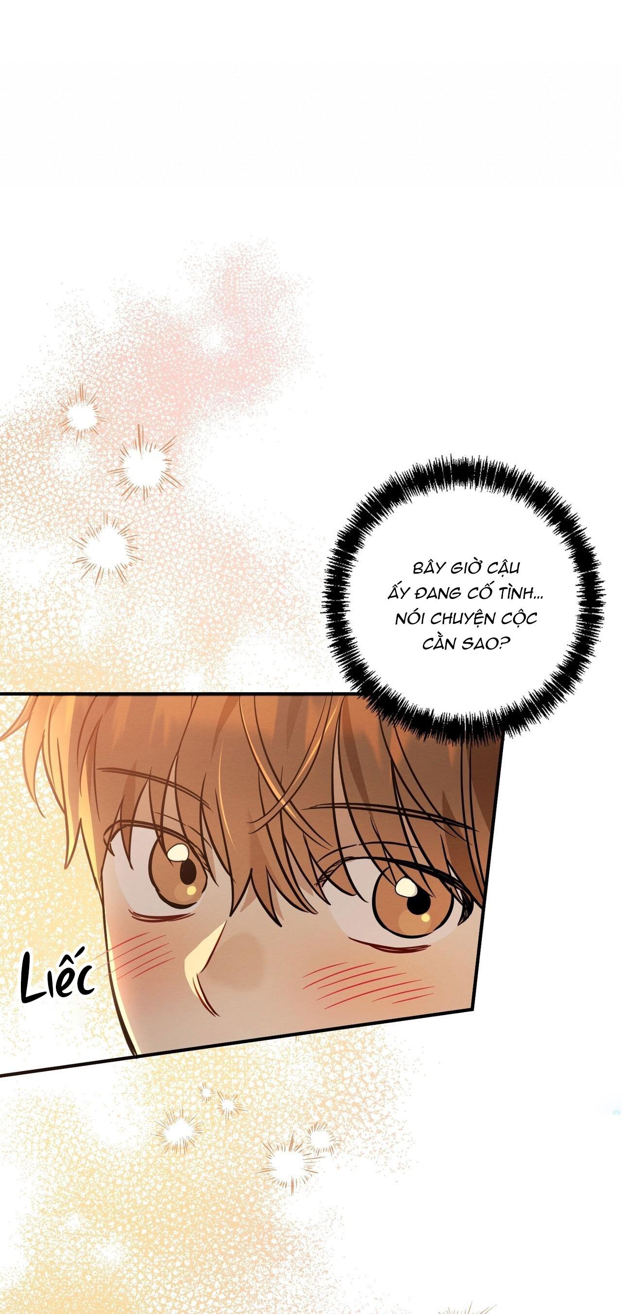 Tình Yêu Mận Ngọt: Chapter 21
