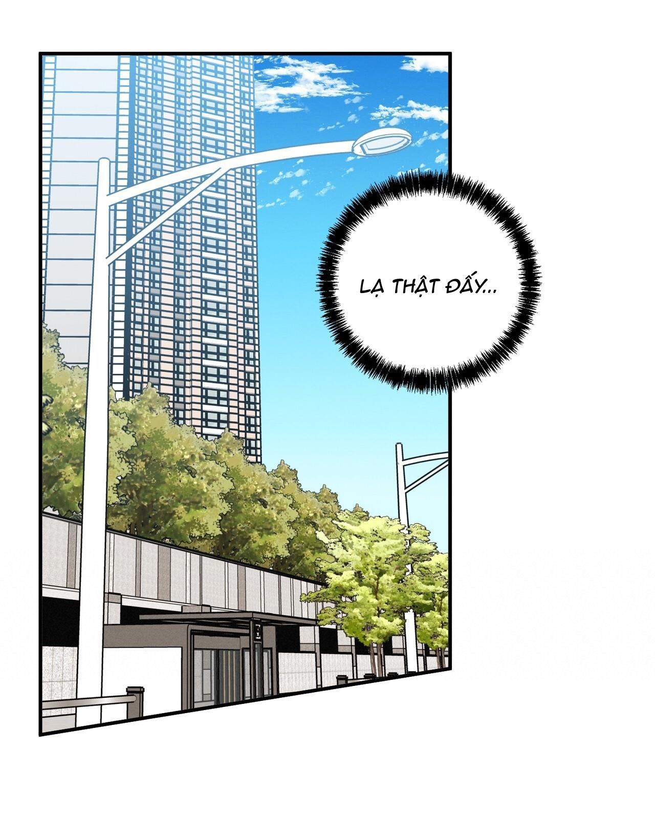 Tình Yêu Mận Ngọt: Chapter 25