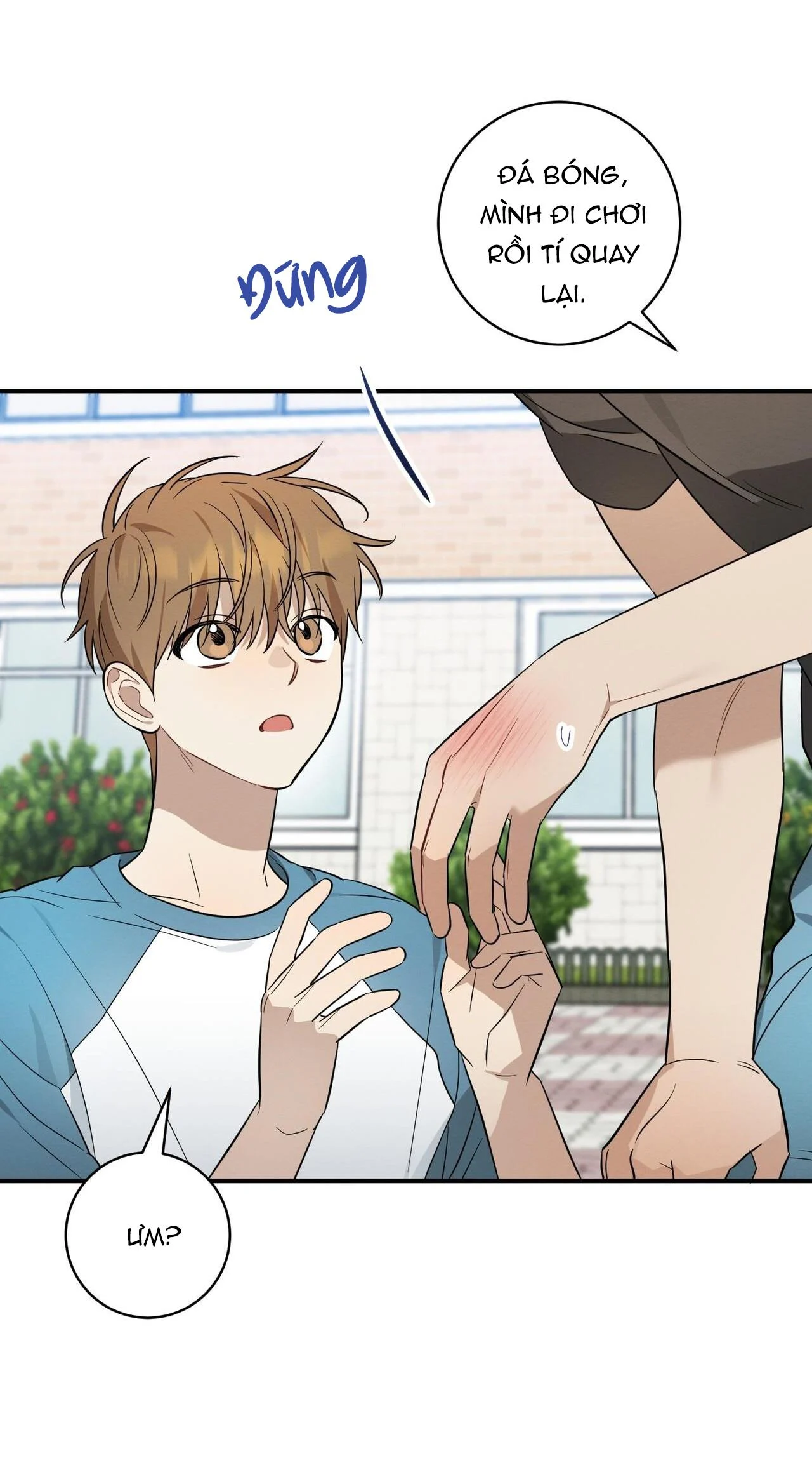 Tình Yêu Mận Ngọt: Chapter 32