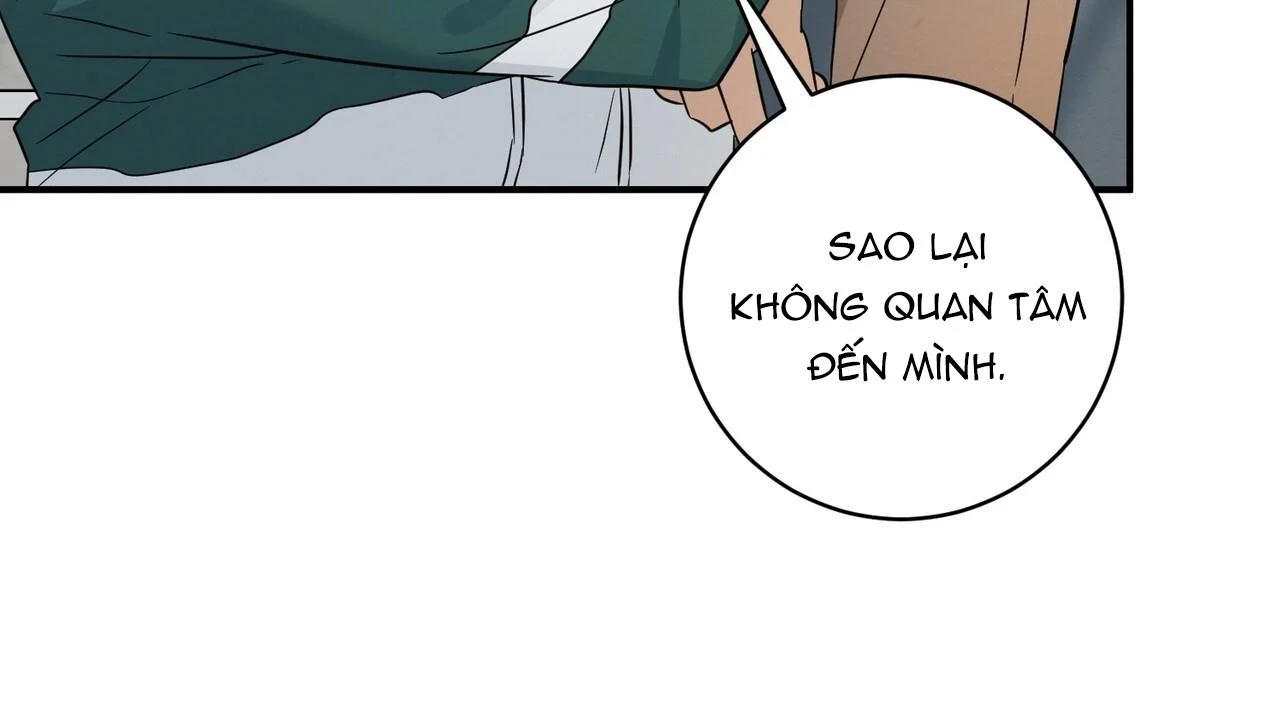 Tình Yêu Mận Ngọt: Chapter 33