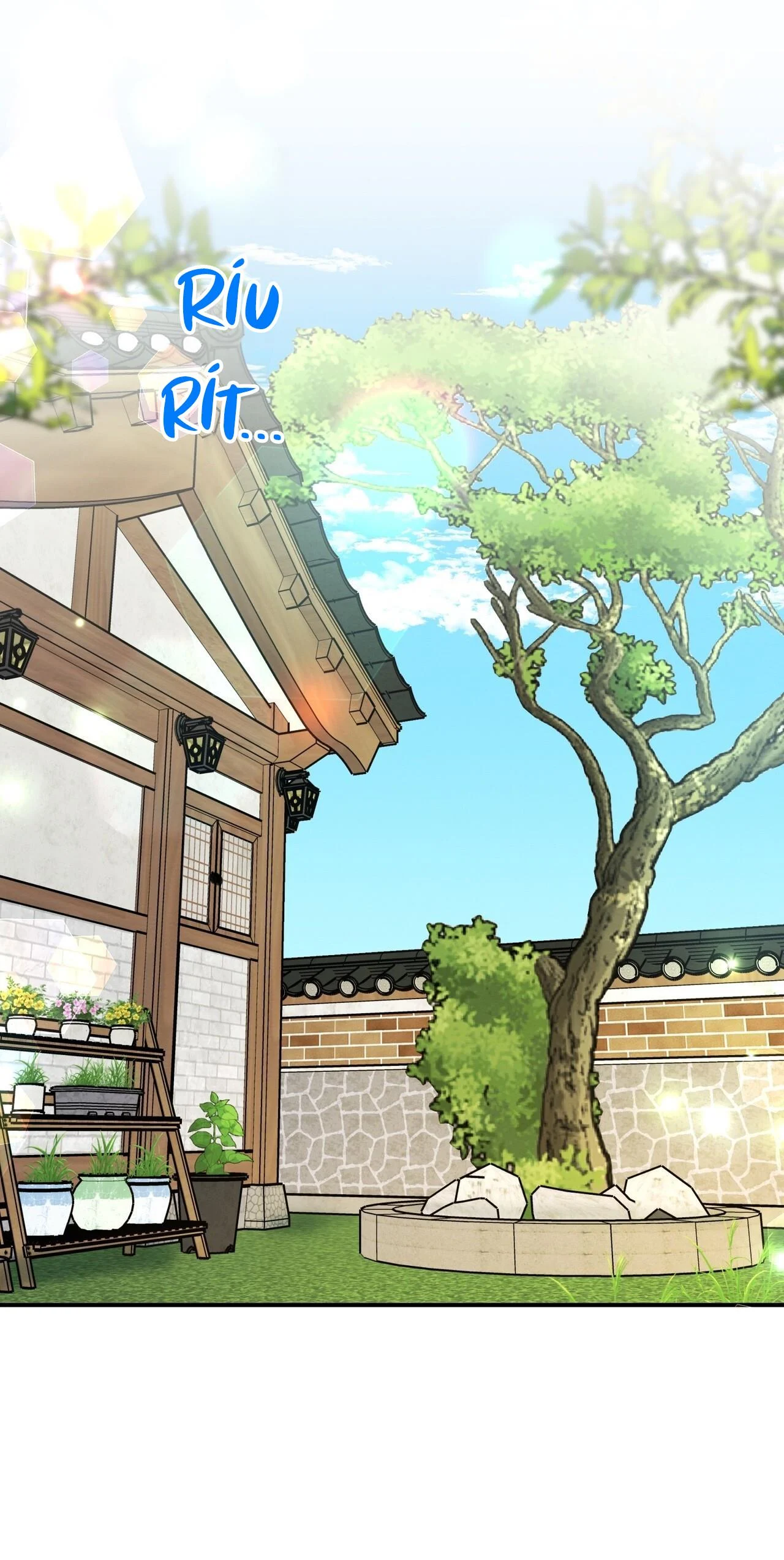 Tình Yêu Mận Ngọt: Chapter 36