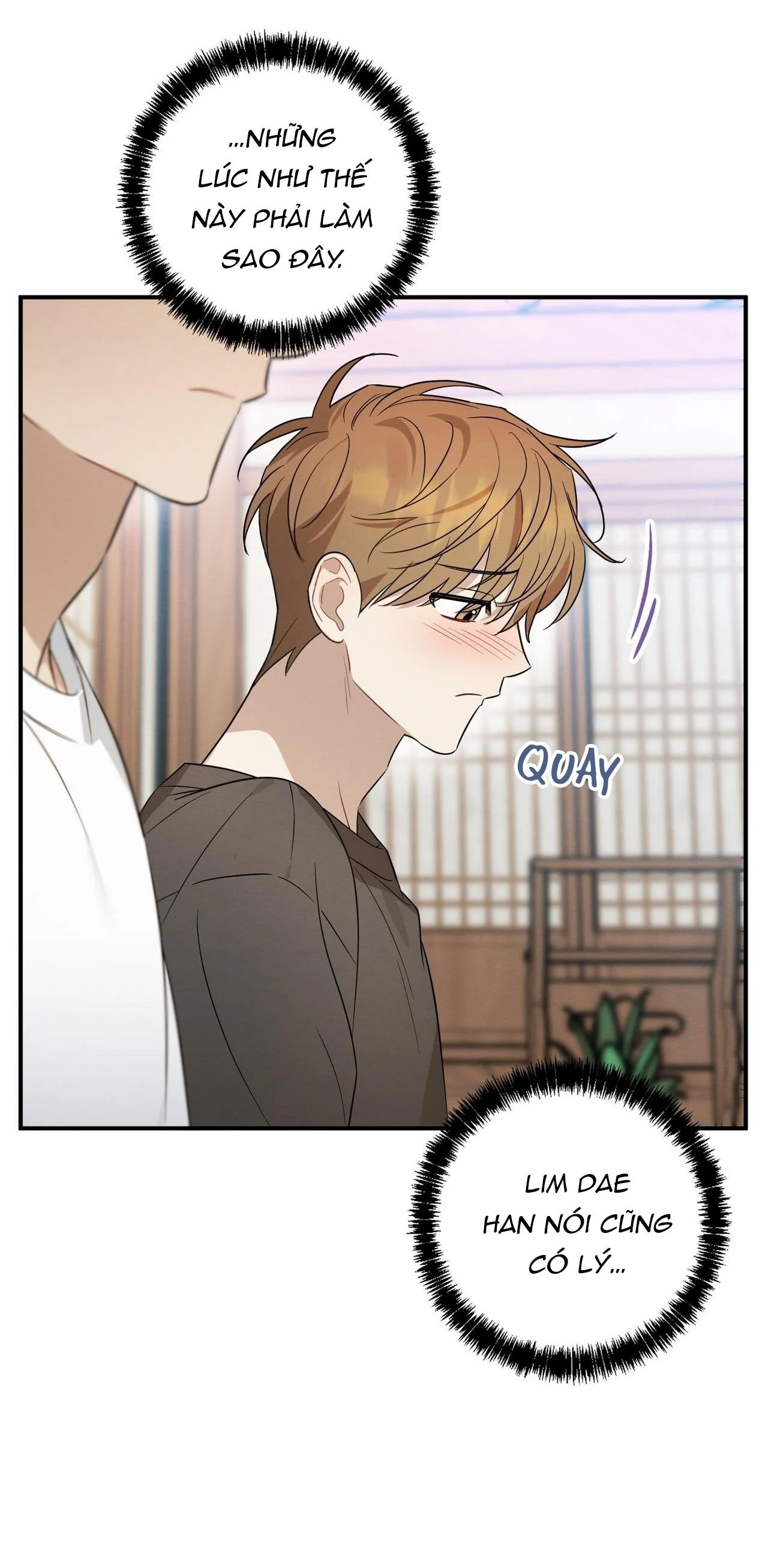 Tình Yêu Mận Ngọt: Chapter 36
