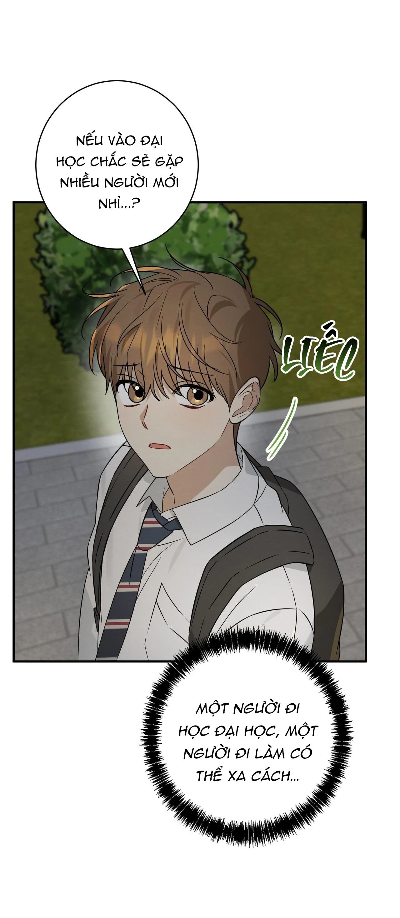 Tình Yêu Mận Ngọt: Chapter 36