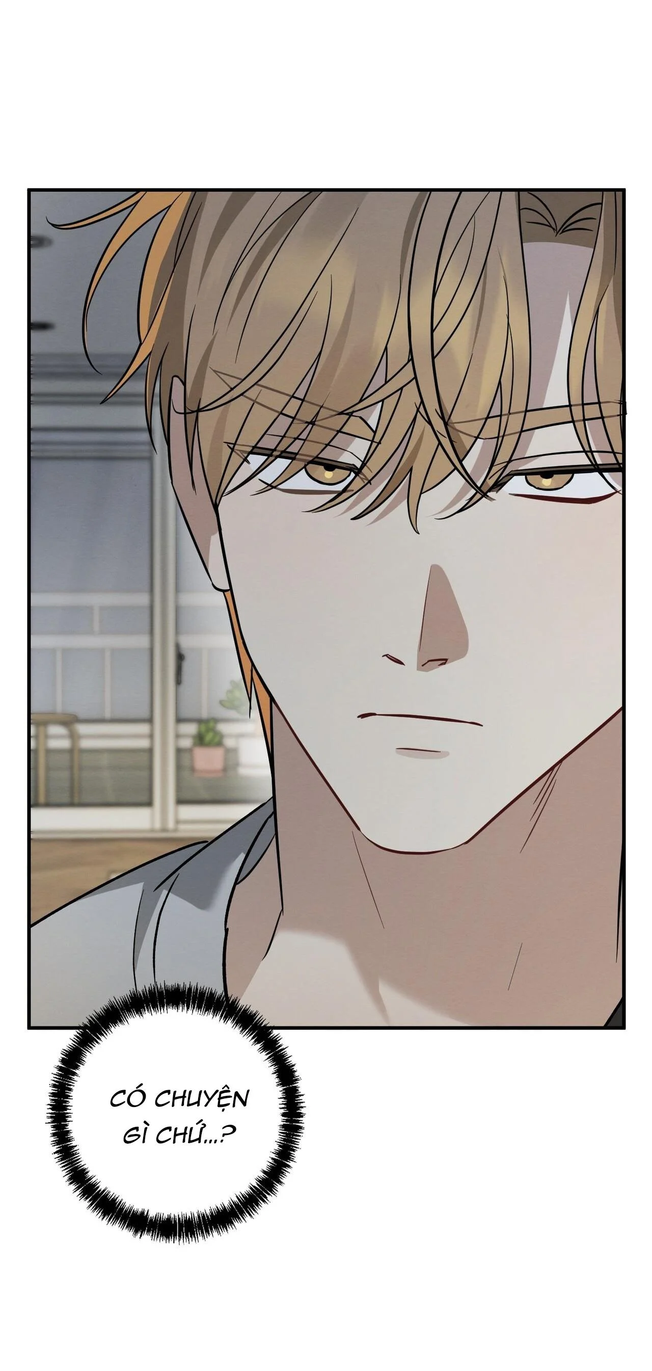 Tình Yêu Mận Ngọt: Chapter 36