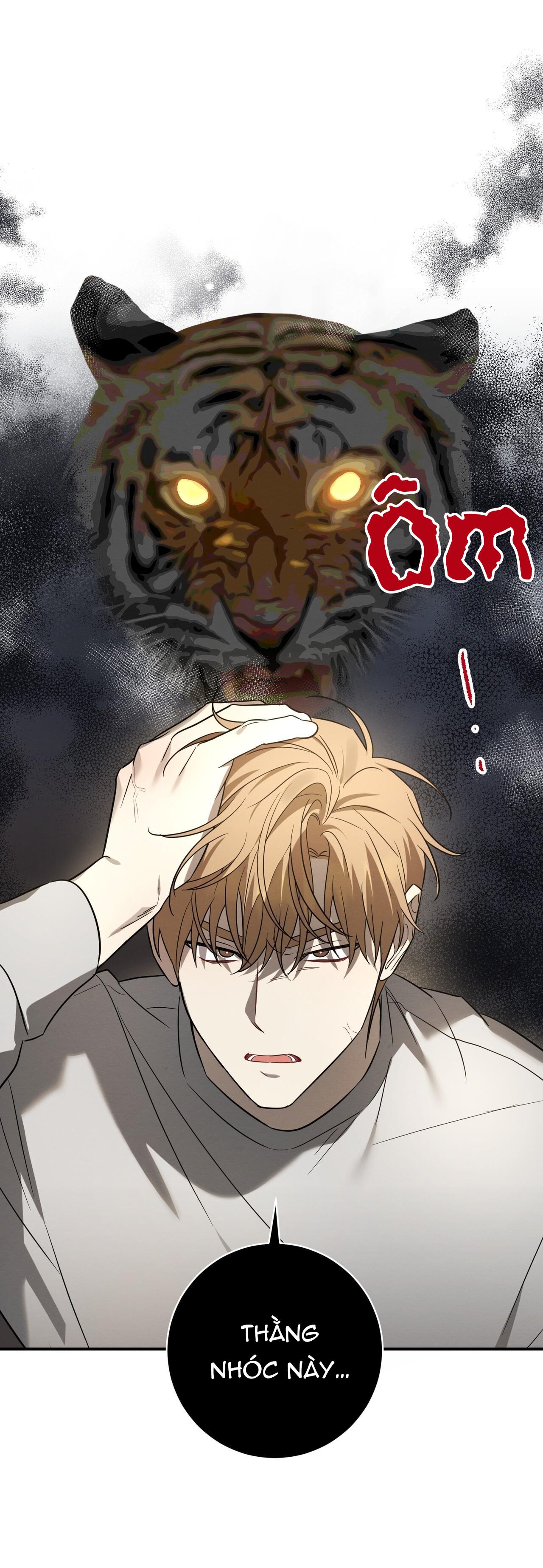 Tình Yêu Mận Ngọt: Chapter 37