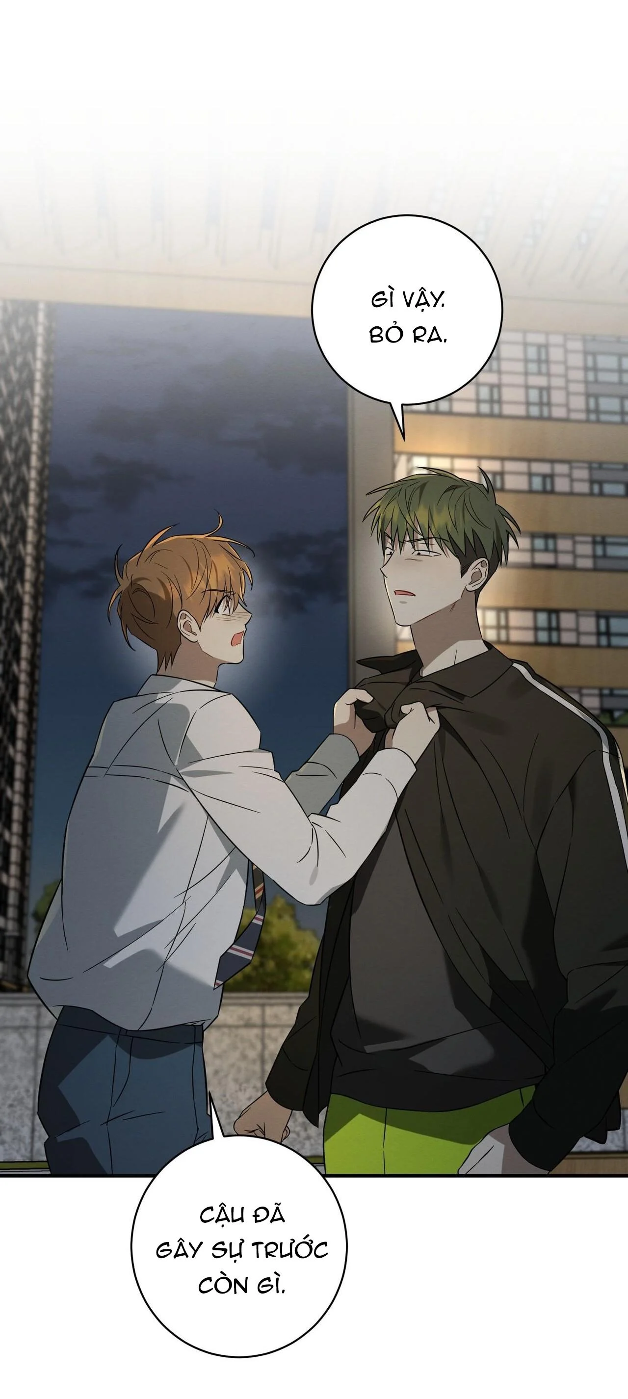 Tình Yêu Mận Ngọt: Chapter 37
