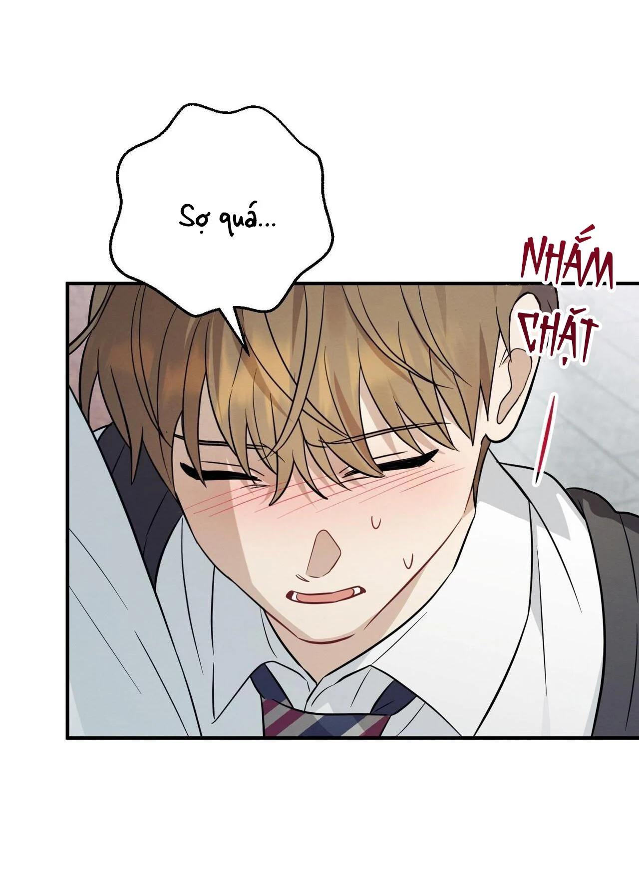 Tình Yêu Mận Ngọt: Chapter 39