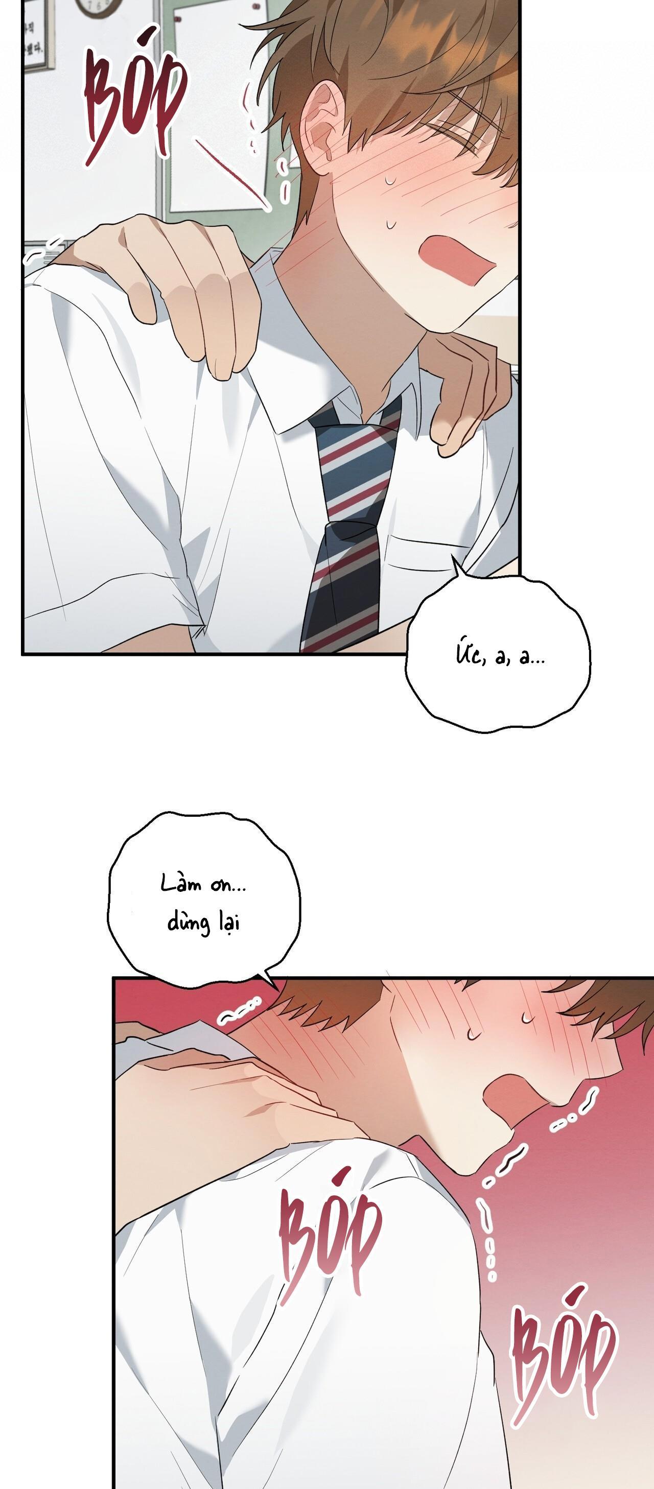 Tình Yêu Mận Ngọt: Chapter 4