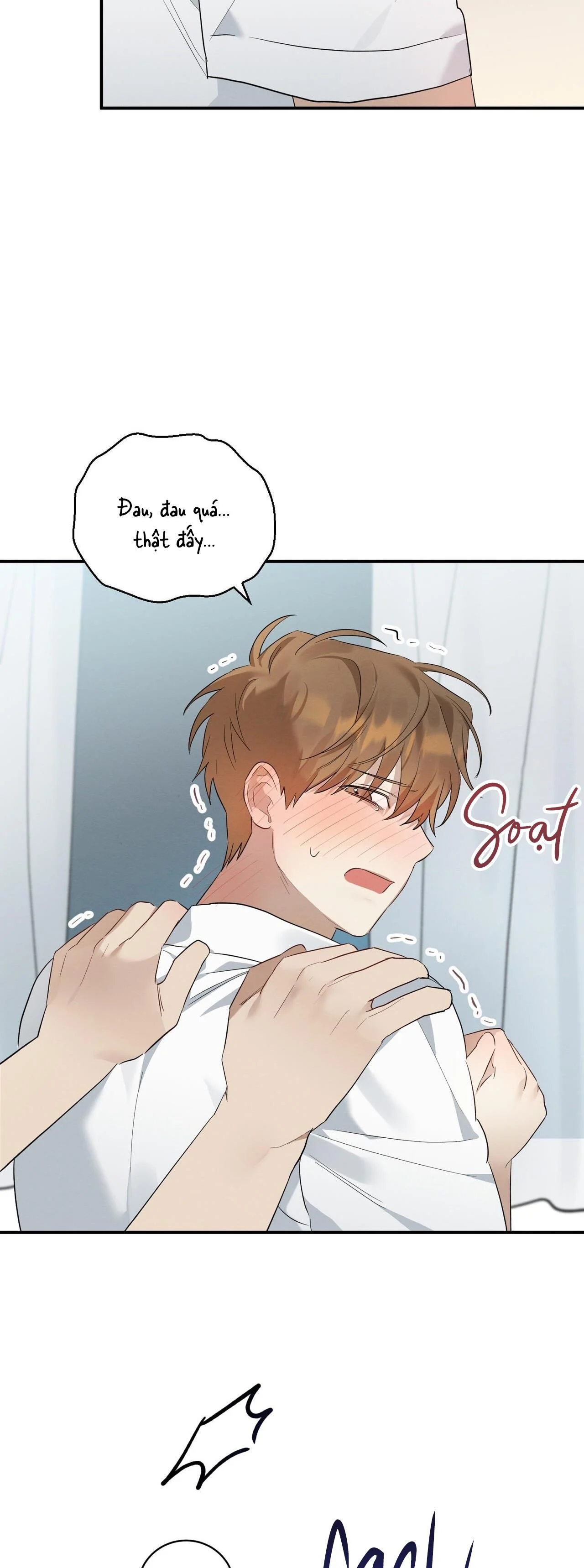 Tình Yêu Mận Ngọt: Chapter 4