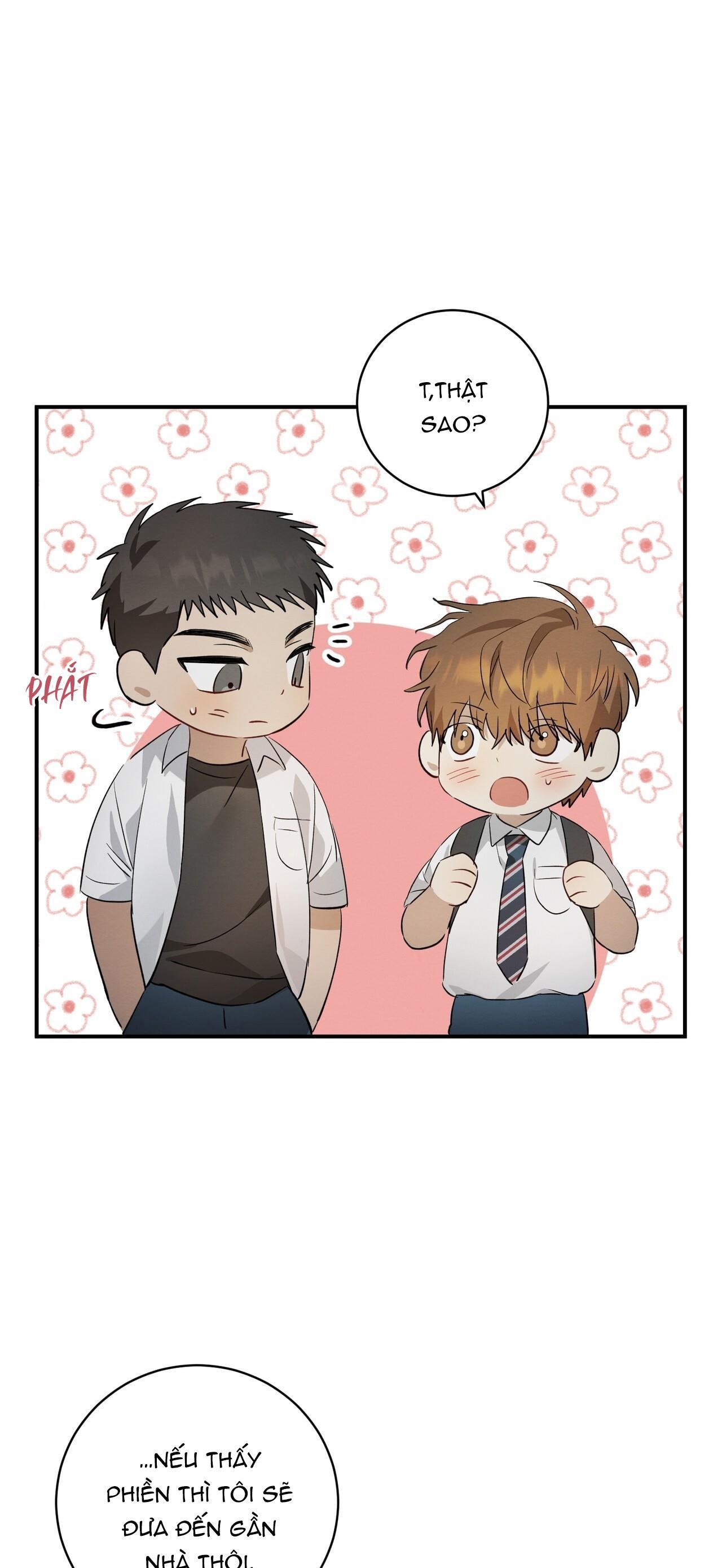 Tình Yêu Mận Ngọt: Chapter 4