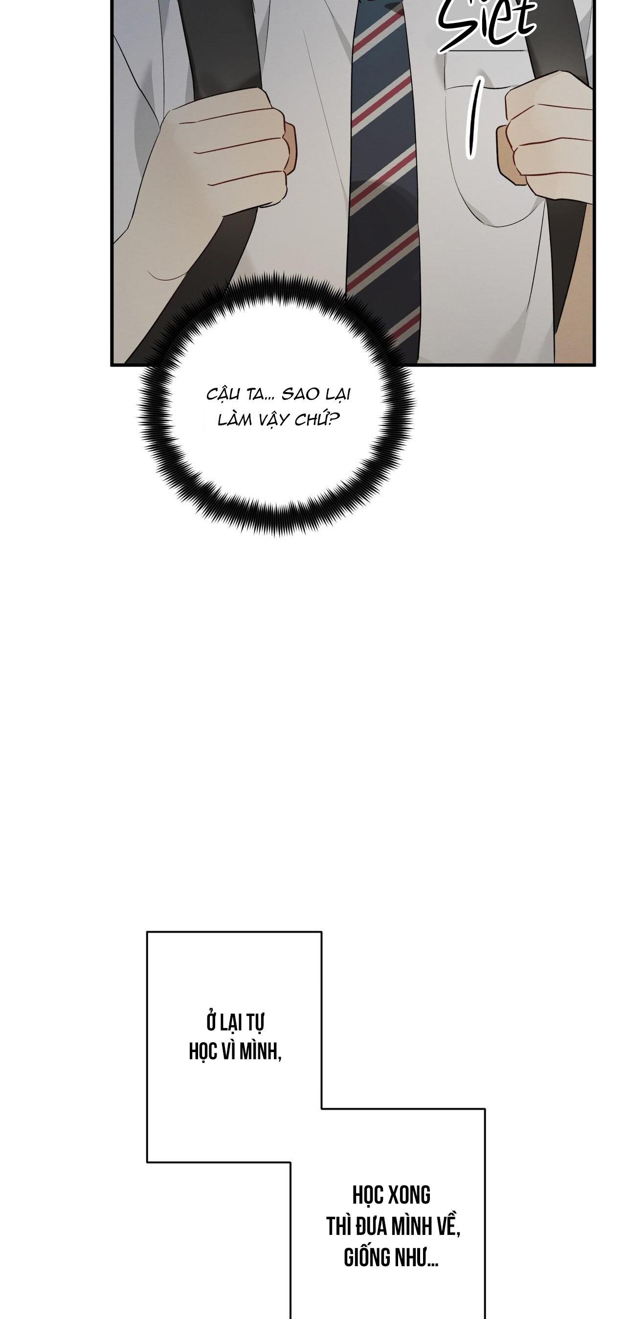 Tình Yêu Mận Ngọt: Chapter 4
