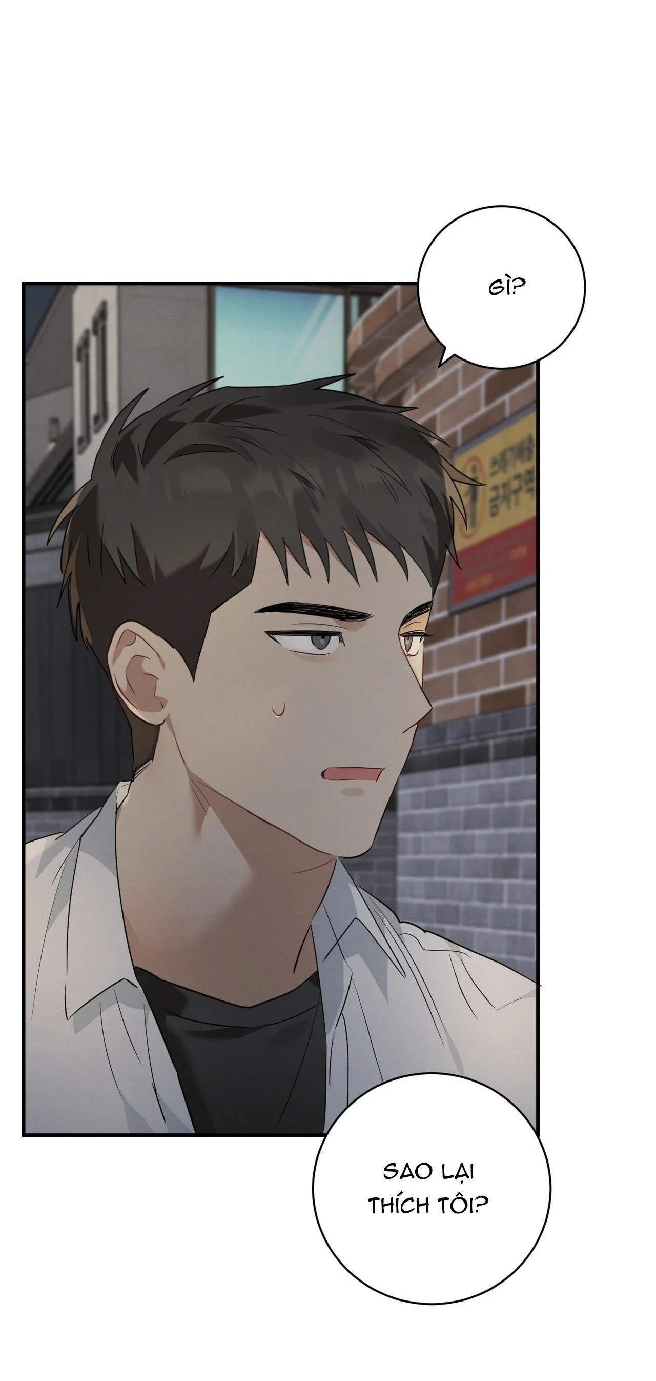 Tình Yêu Mận Ngọt: Chapter 4