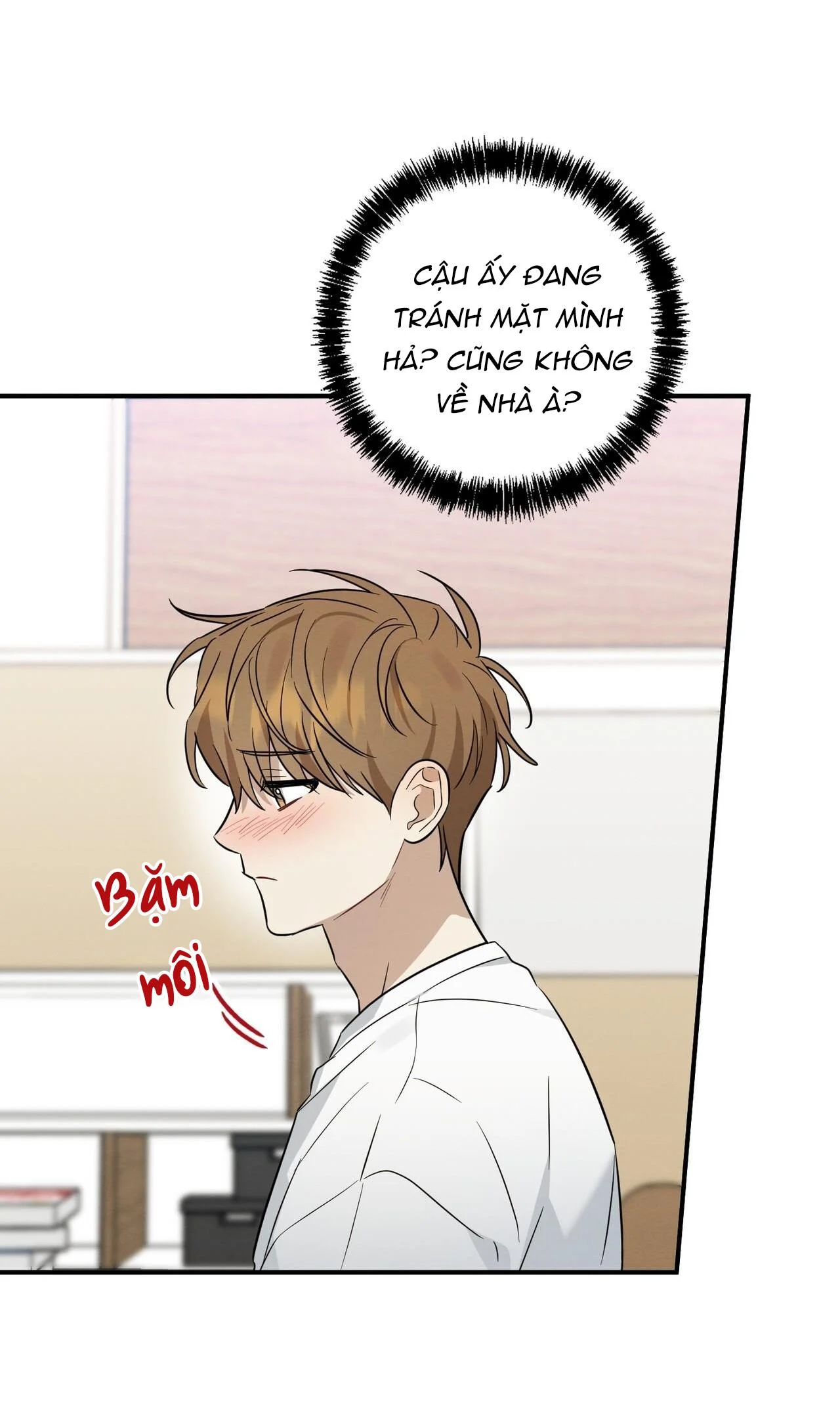 Tình Yêu Mận Ngọt: Chapter 40