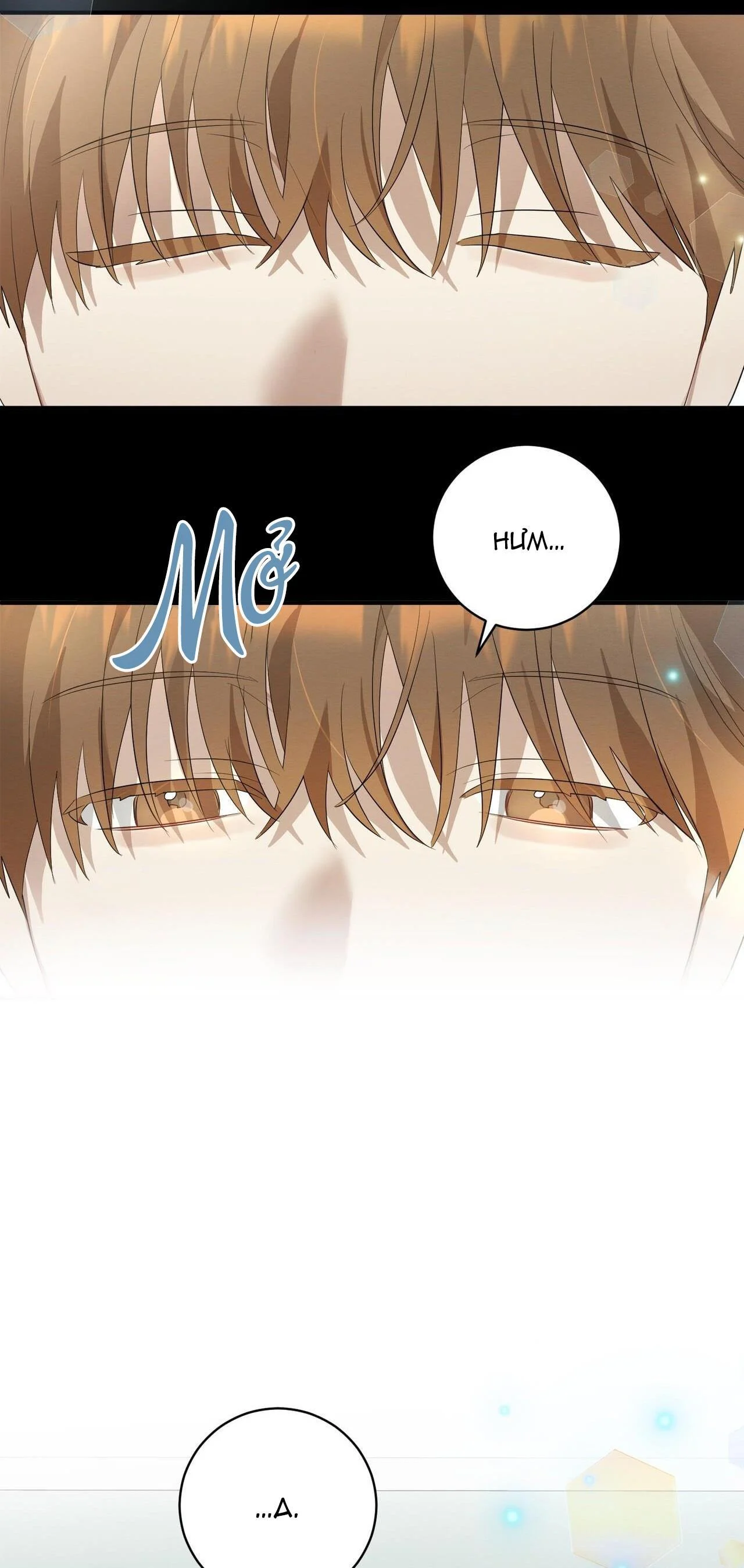 Tình Yêu Mận Ngọt: Chapter 5