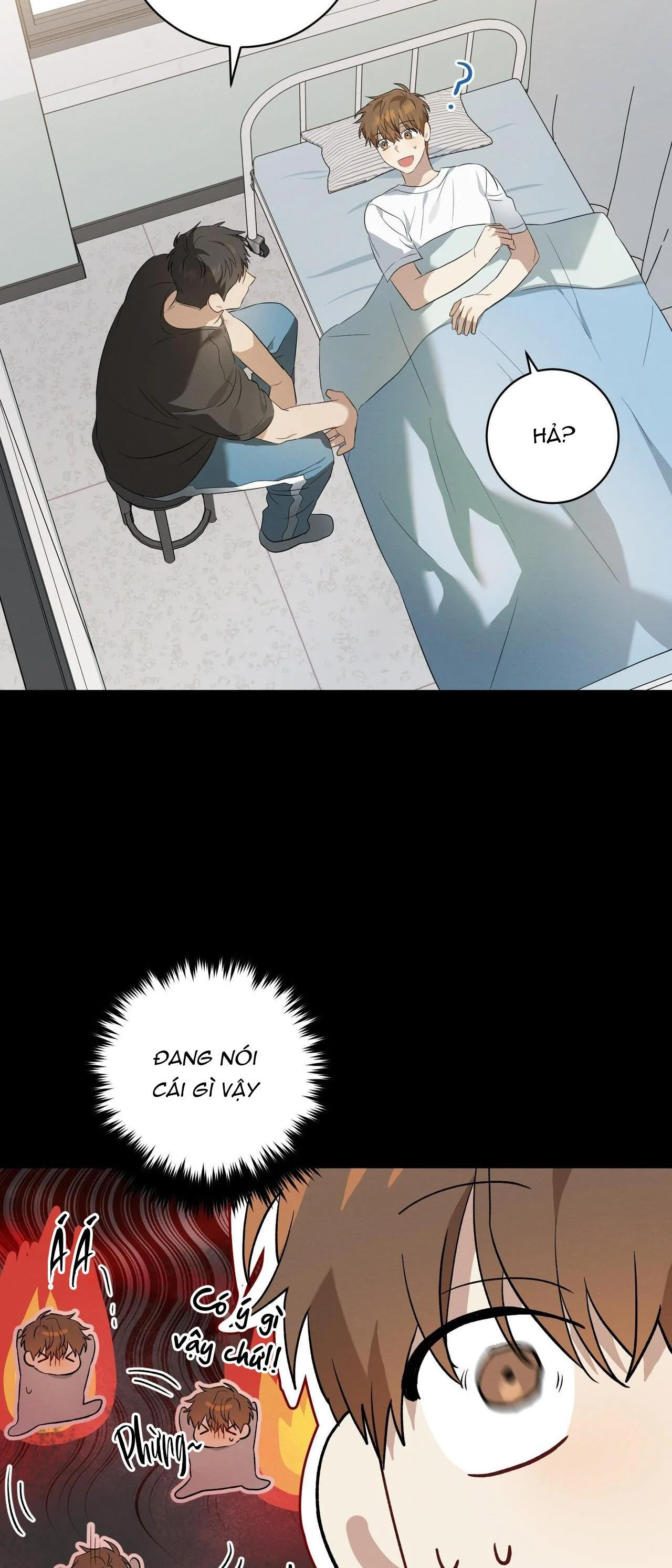 Tình Yêu Mận Ngọt: Chapter 5