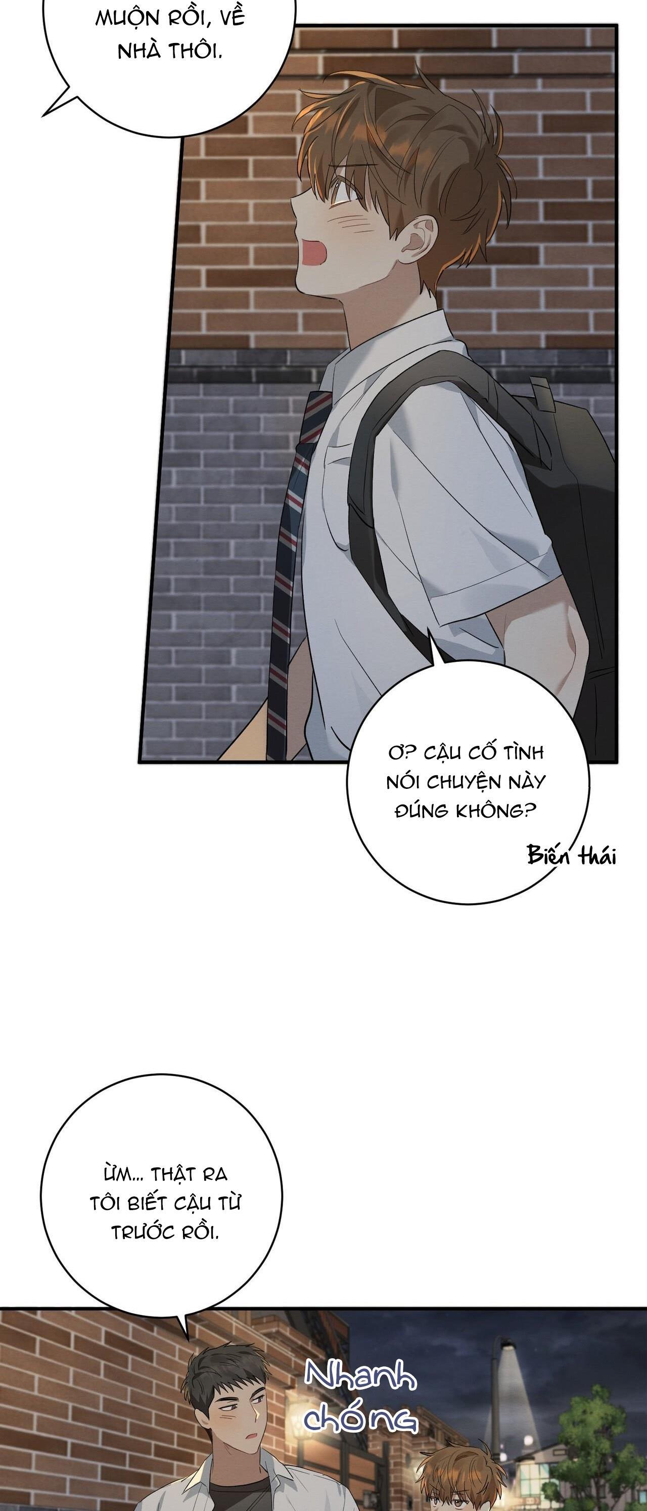 Tình Yêu Mận Ngọt: Chapter 5